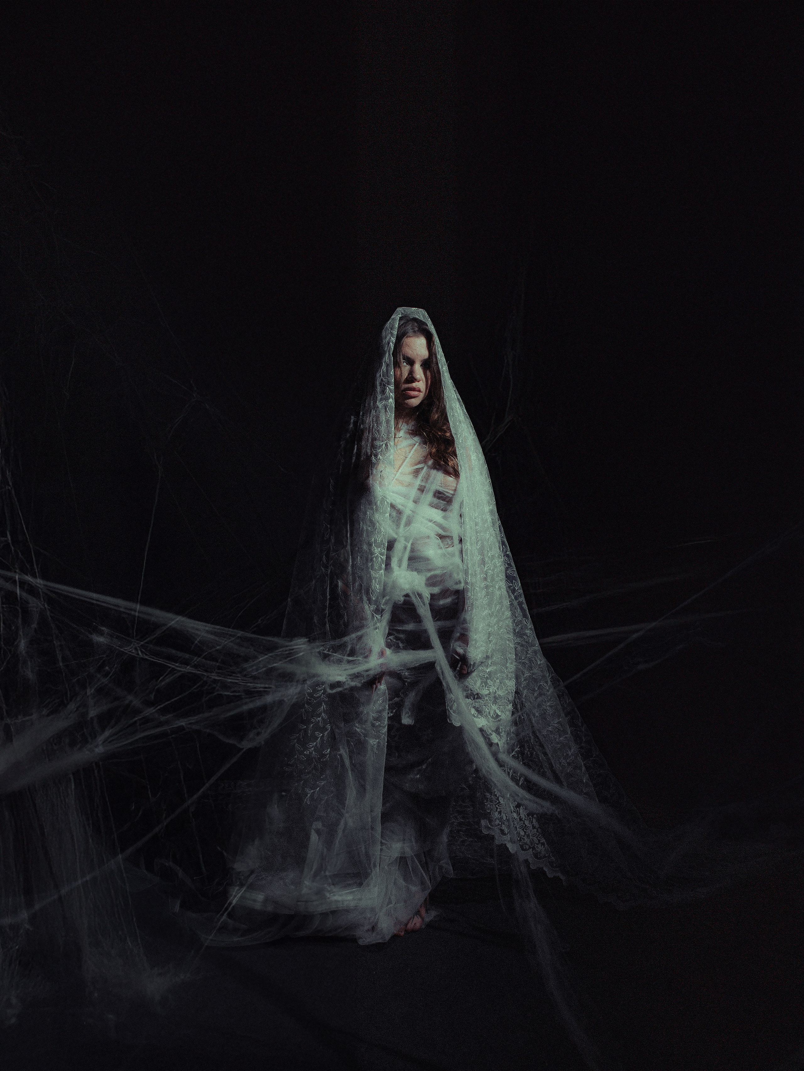 Diibae spider. Фотограф из Санкт-Петербурга Валерия Ленских