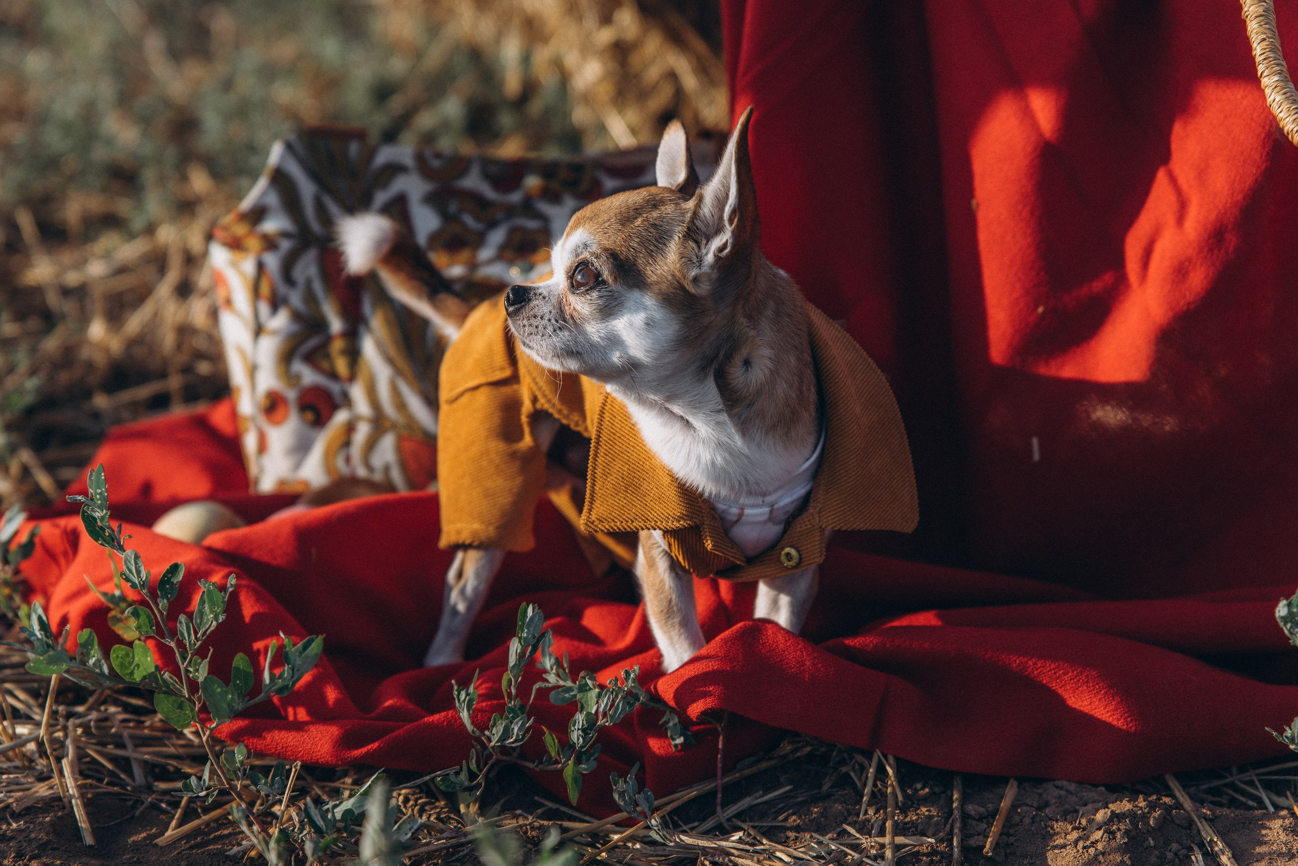 ЛЕНА. Ольга Козлова фотограф Волгоград olkiny-fotki.ru