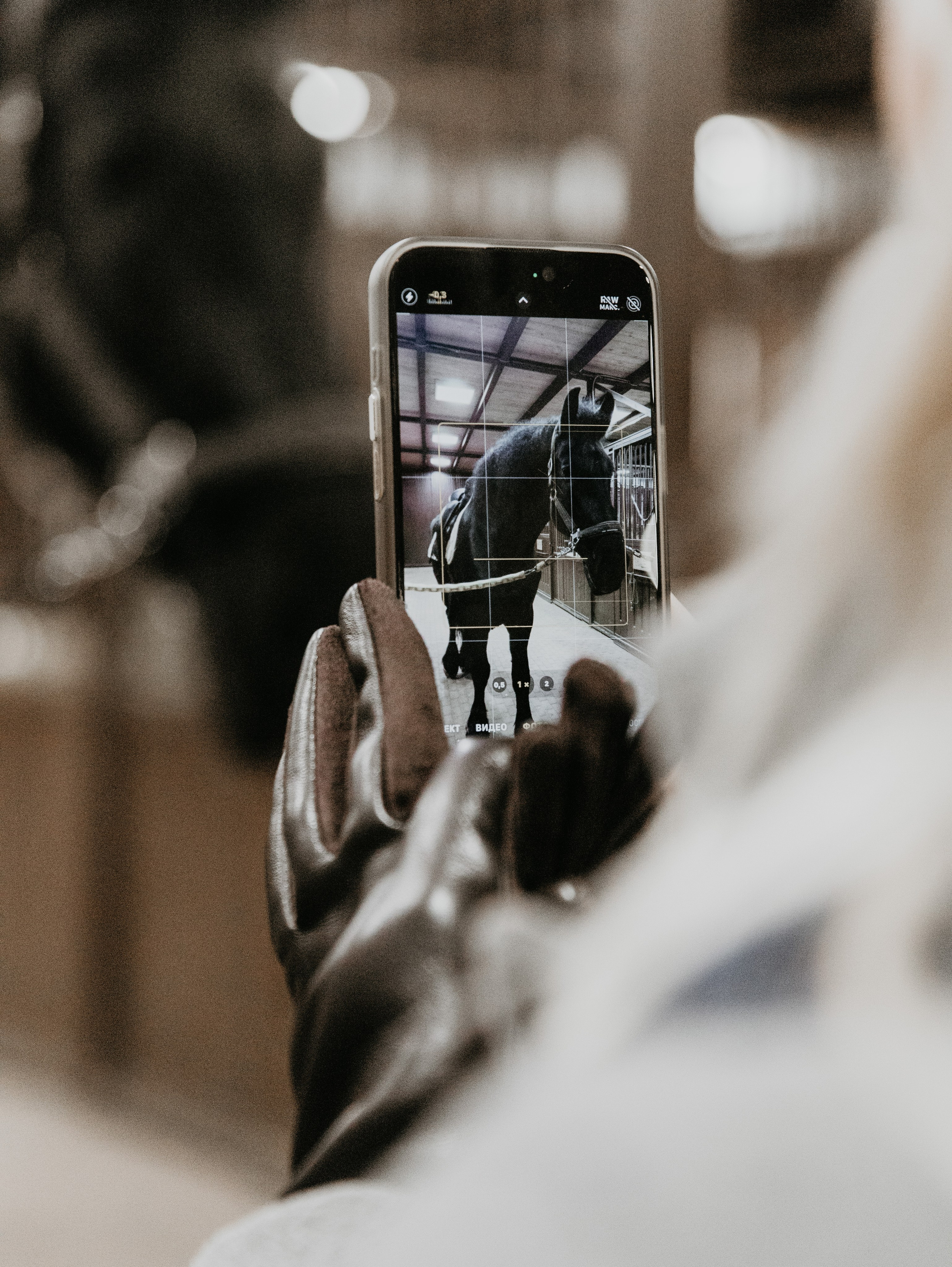 Ферма «Few Horses». Фотограф | портрет | бренды | репортаж