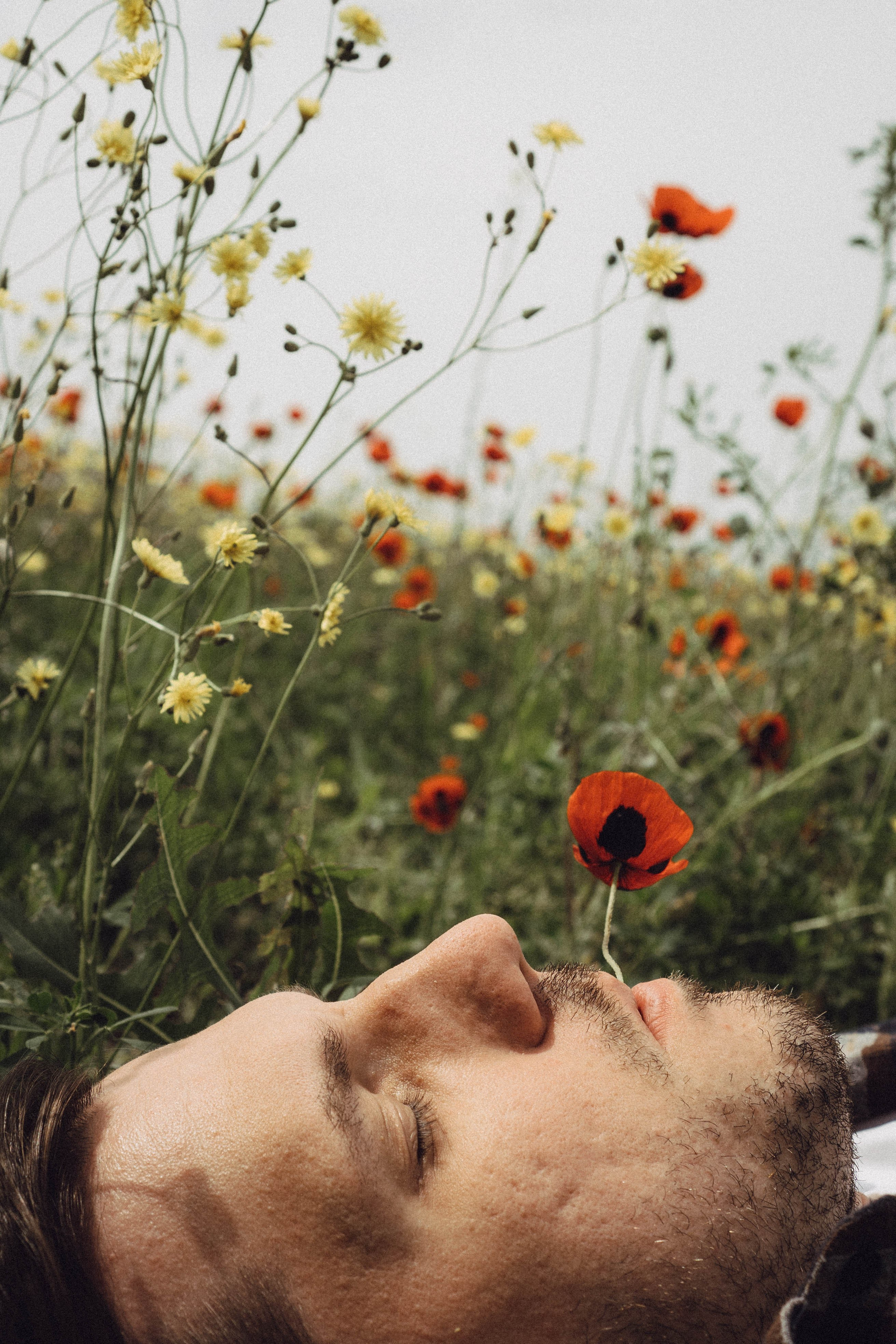 Маки. Профессиональный фотограф, Санкт-Петербург — Виктория Богомолова