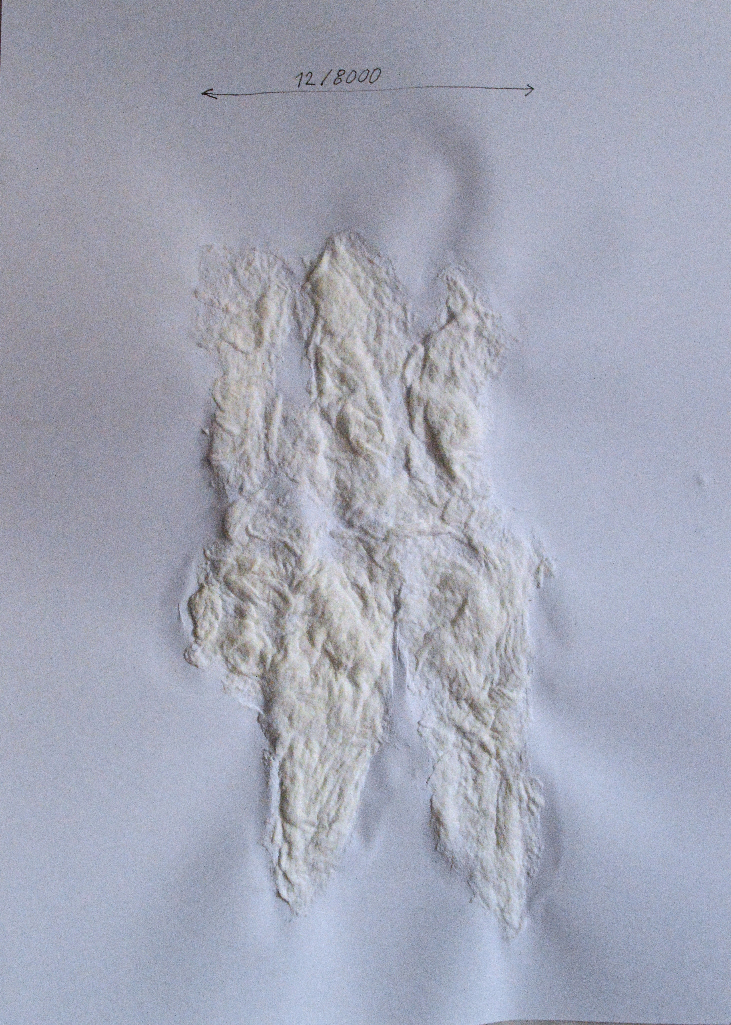 «8000 женщин» 2025. Лилия Ким. Междисциплинарный художник