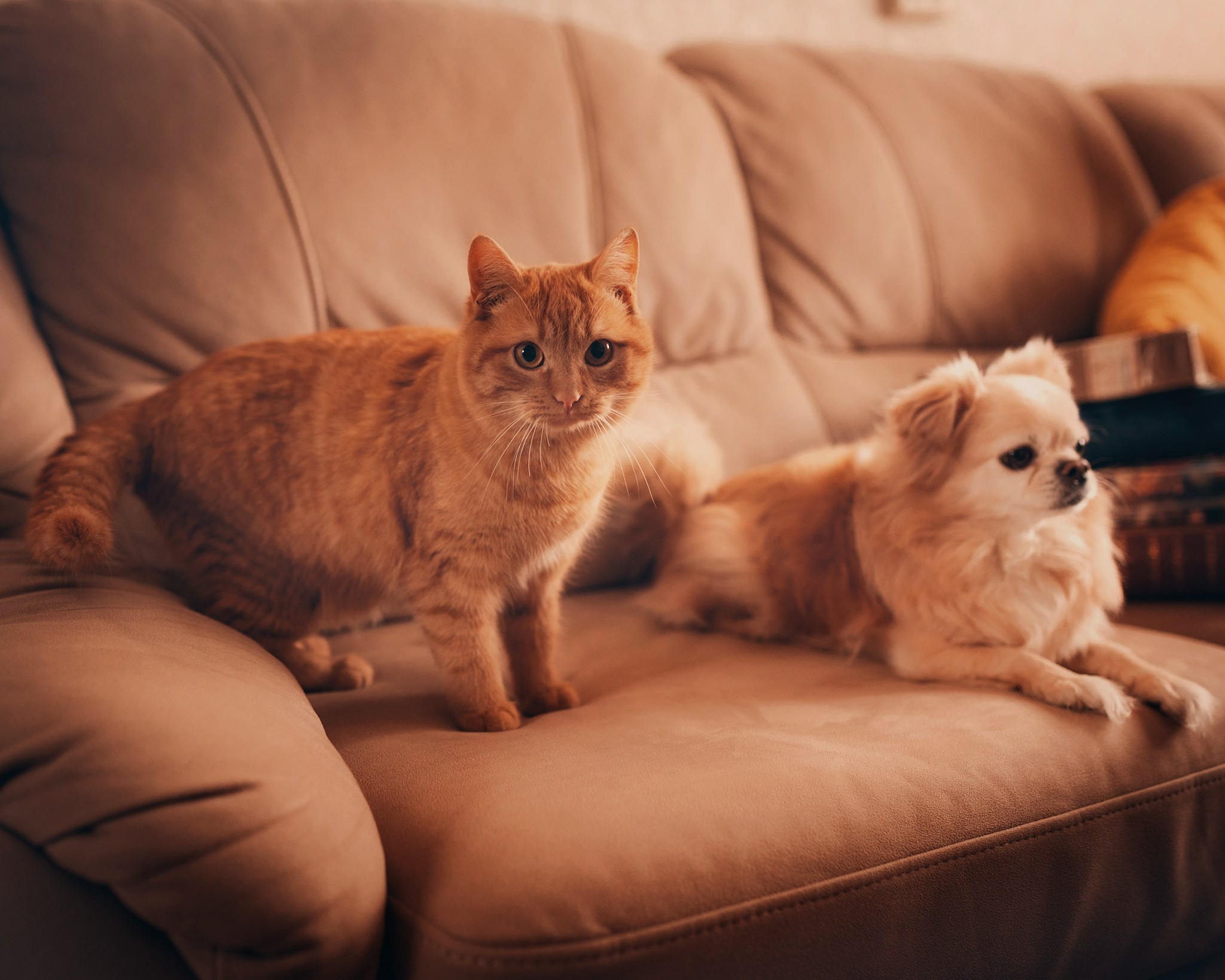 Домашняя фотосессия — бабушка с внучками. Детский и семейный фотограф Елена Михайлова в Москве