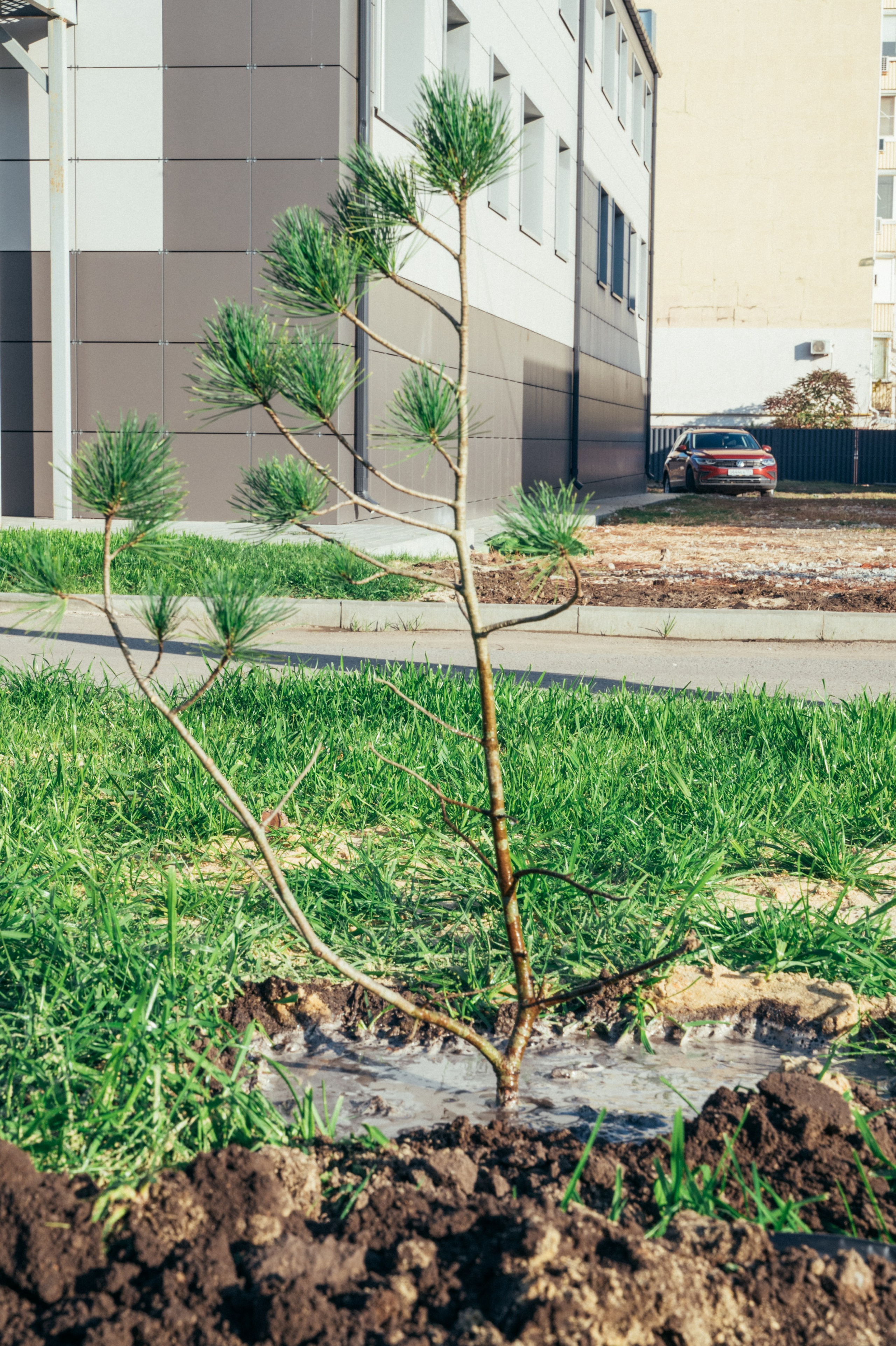 Международная конференция РАН