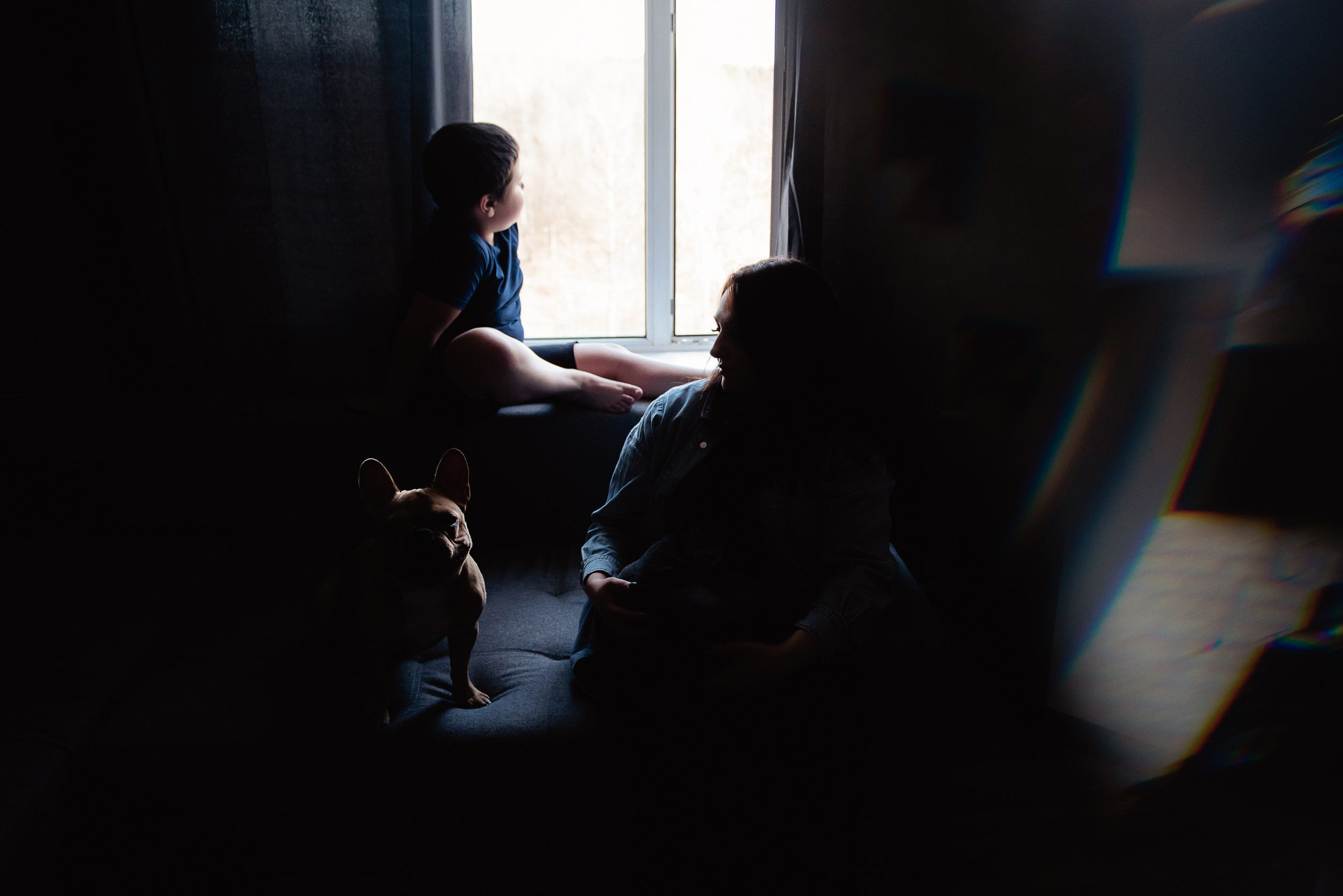 Бульдоги и компания. Семейный Фотограф в Москве Ирина Хохлова