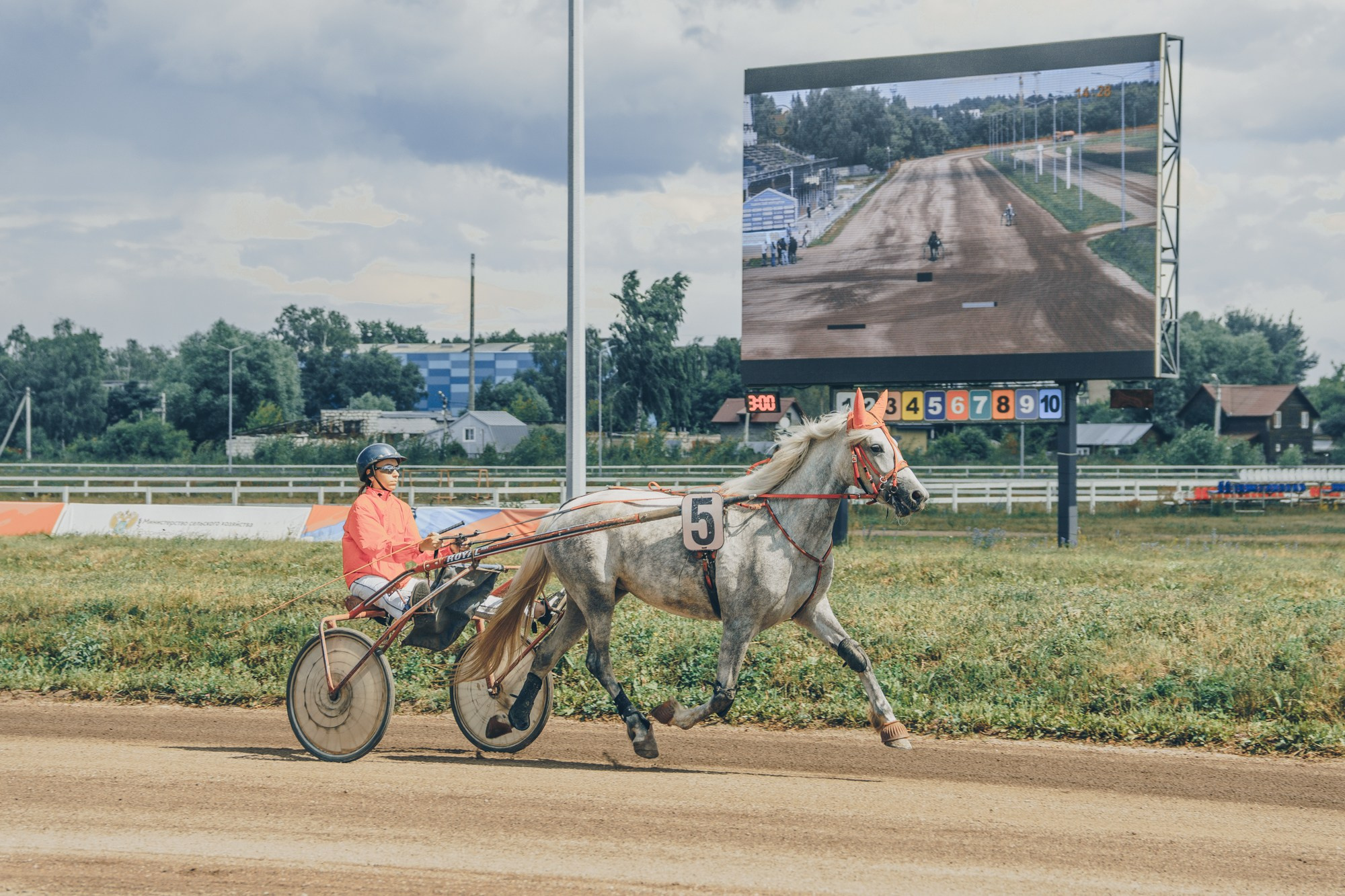 Раменский ипподром. Фотограф Яна Журавская Спб / Москва