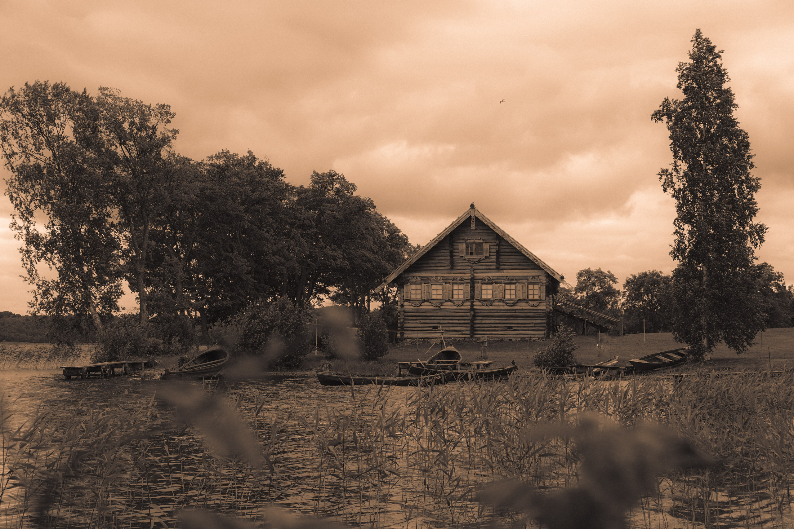 СТРИТ / ТРЕВЕЛ. Семейный и travel-фотограф из Израиля