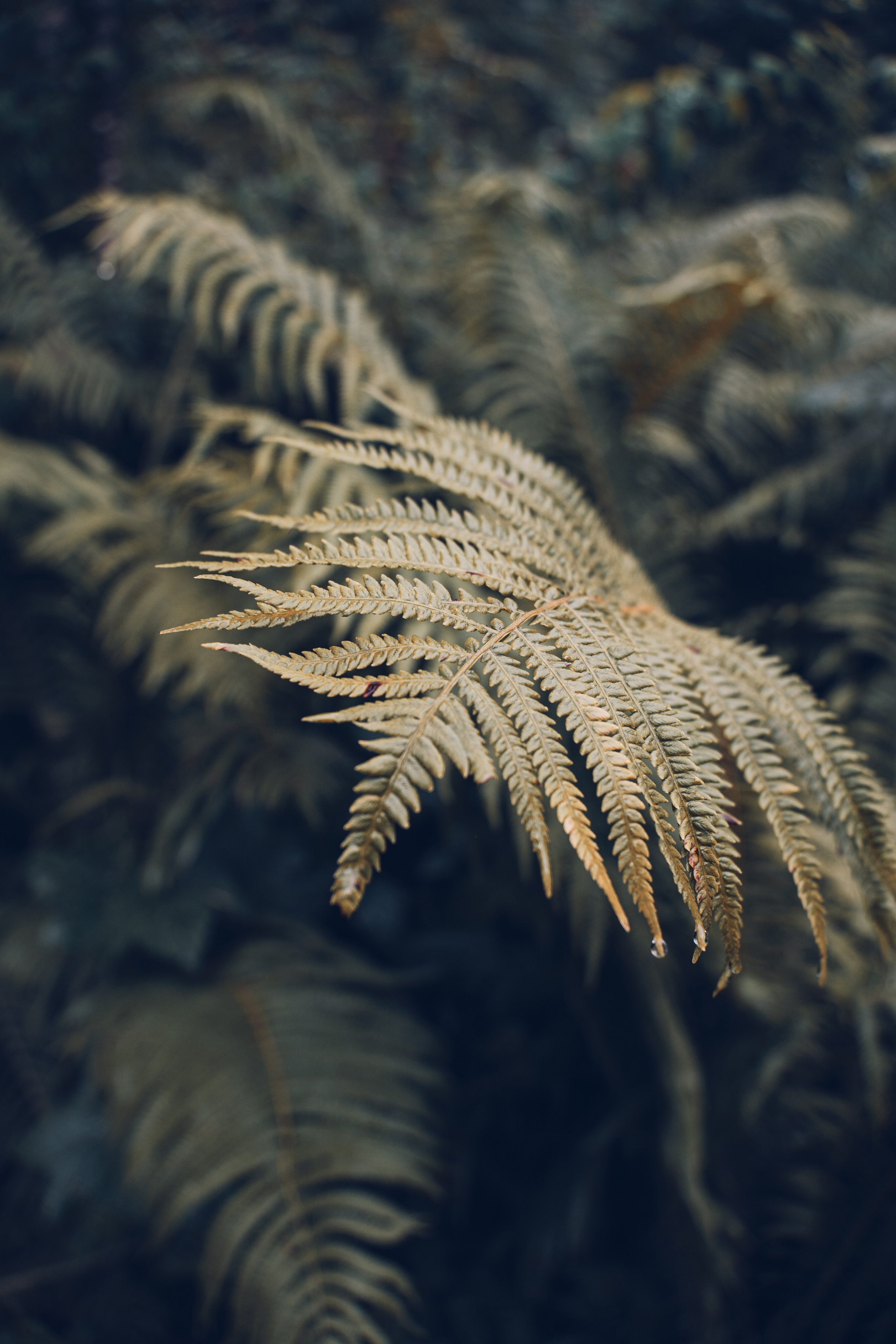 Алтай. Gusarov Travel Photography