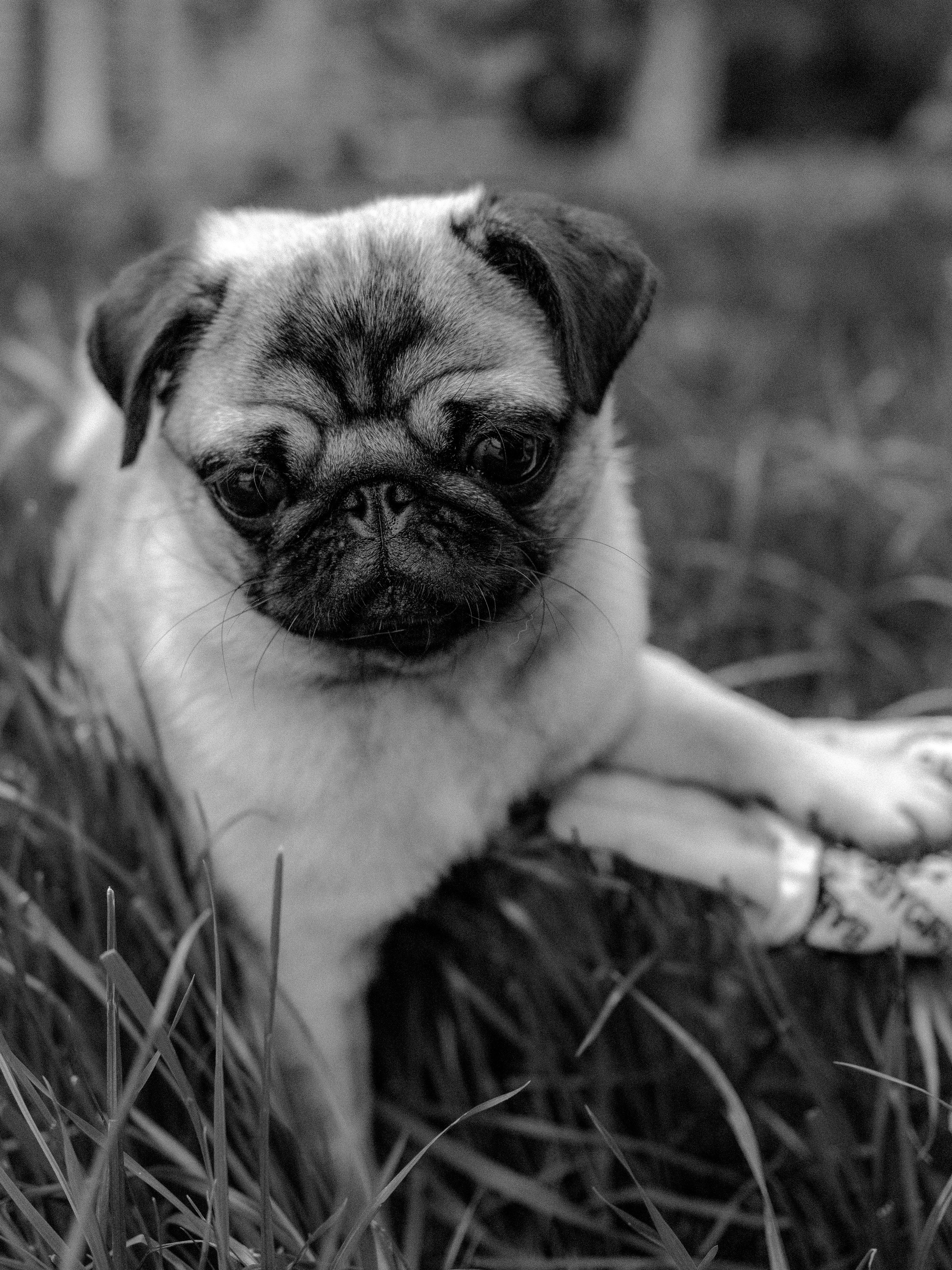 Pretty Mira. Портретный фотограф Москва Белогорцев Сергей