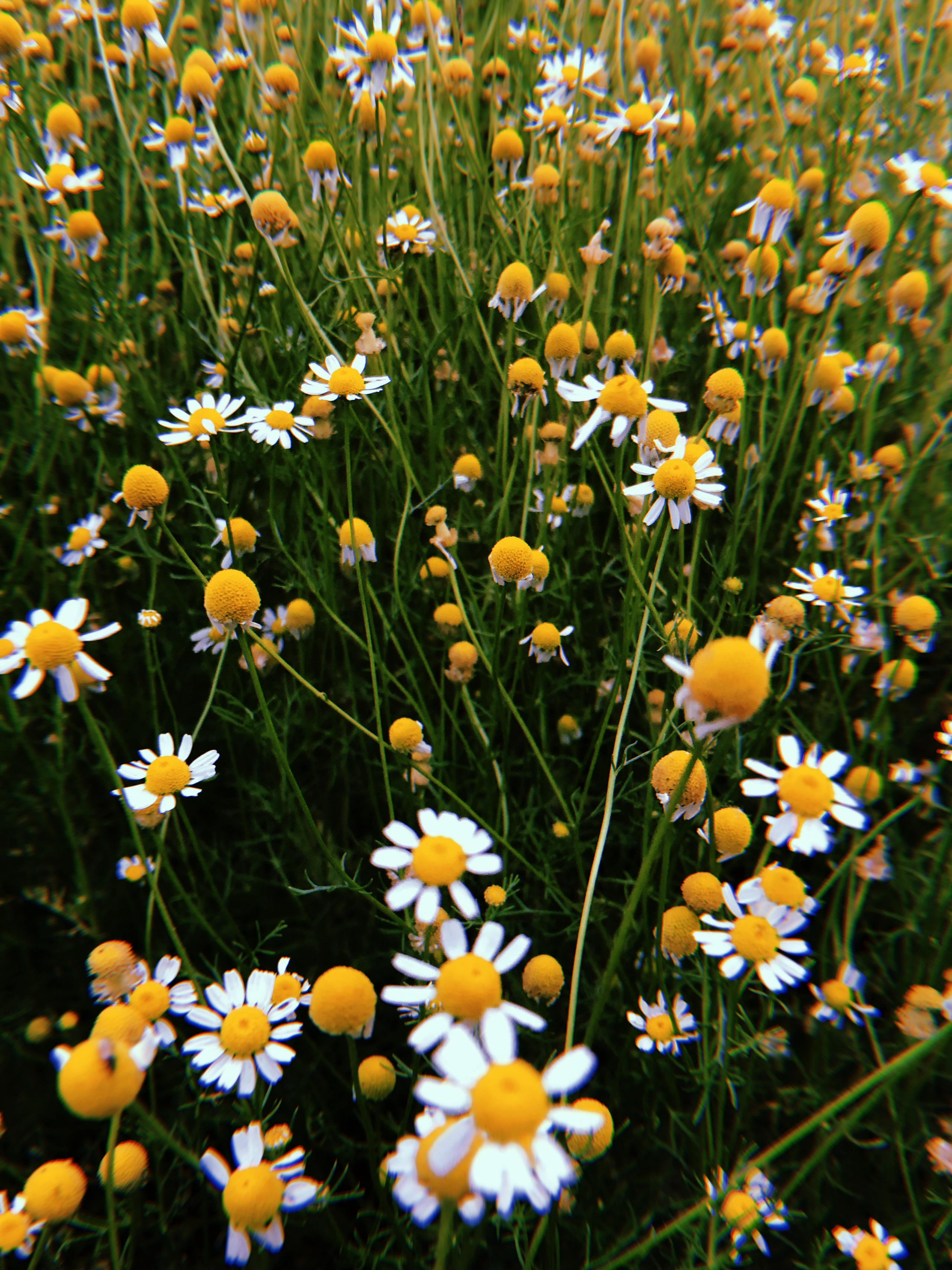 Визуальный дневник. Портретный фотограф в Москве Гахраманова Екатерина