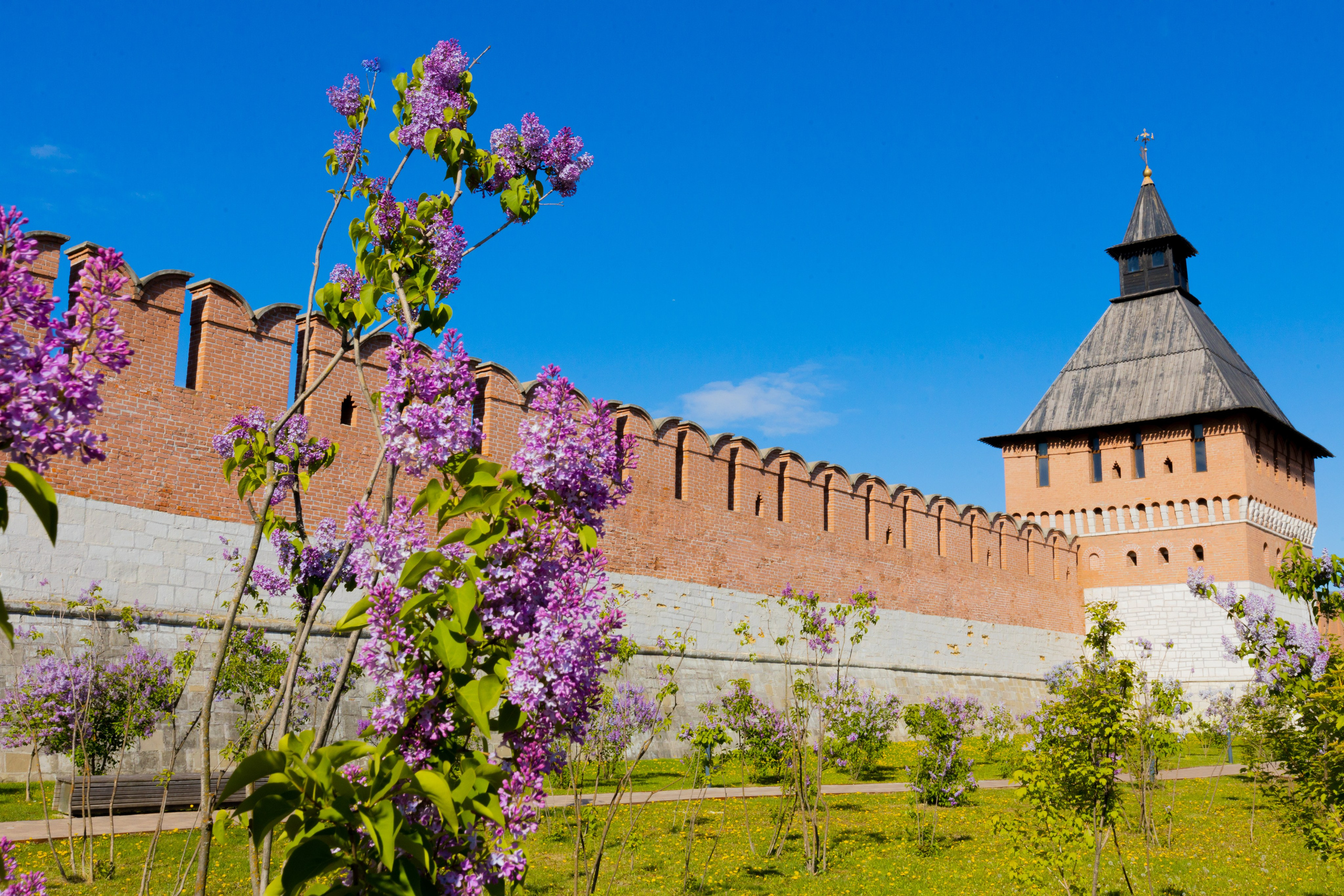 Весеннее цветение в Туле. Фотограф в Туле Крупский АнДРей. Фотостудия «КАДР71» в Туле