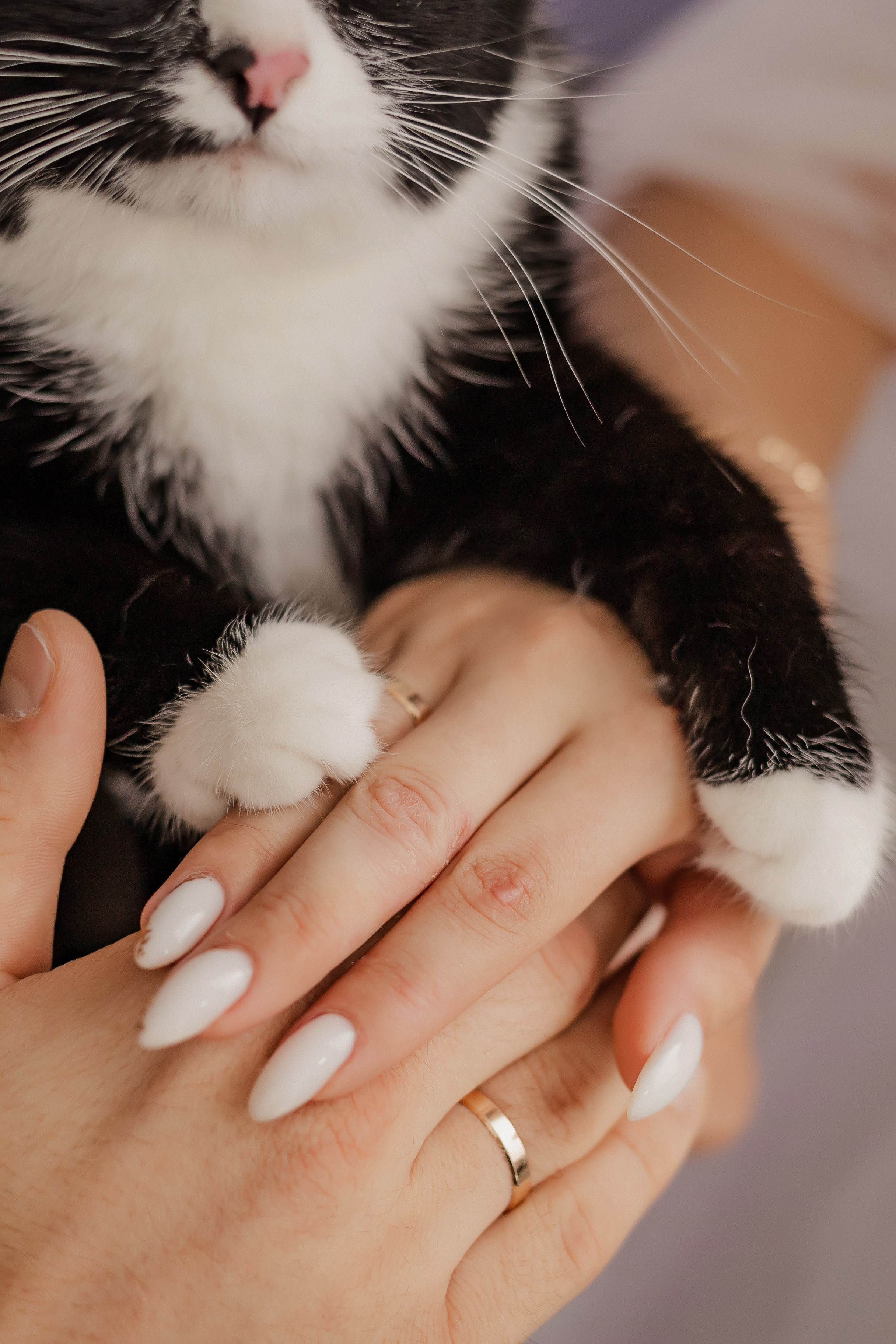 Кирилл Ксения