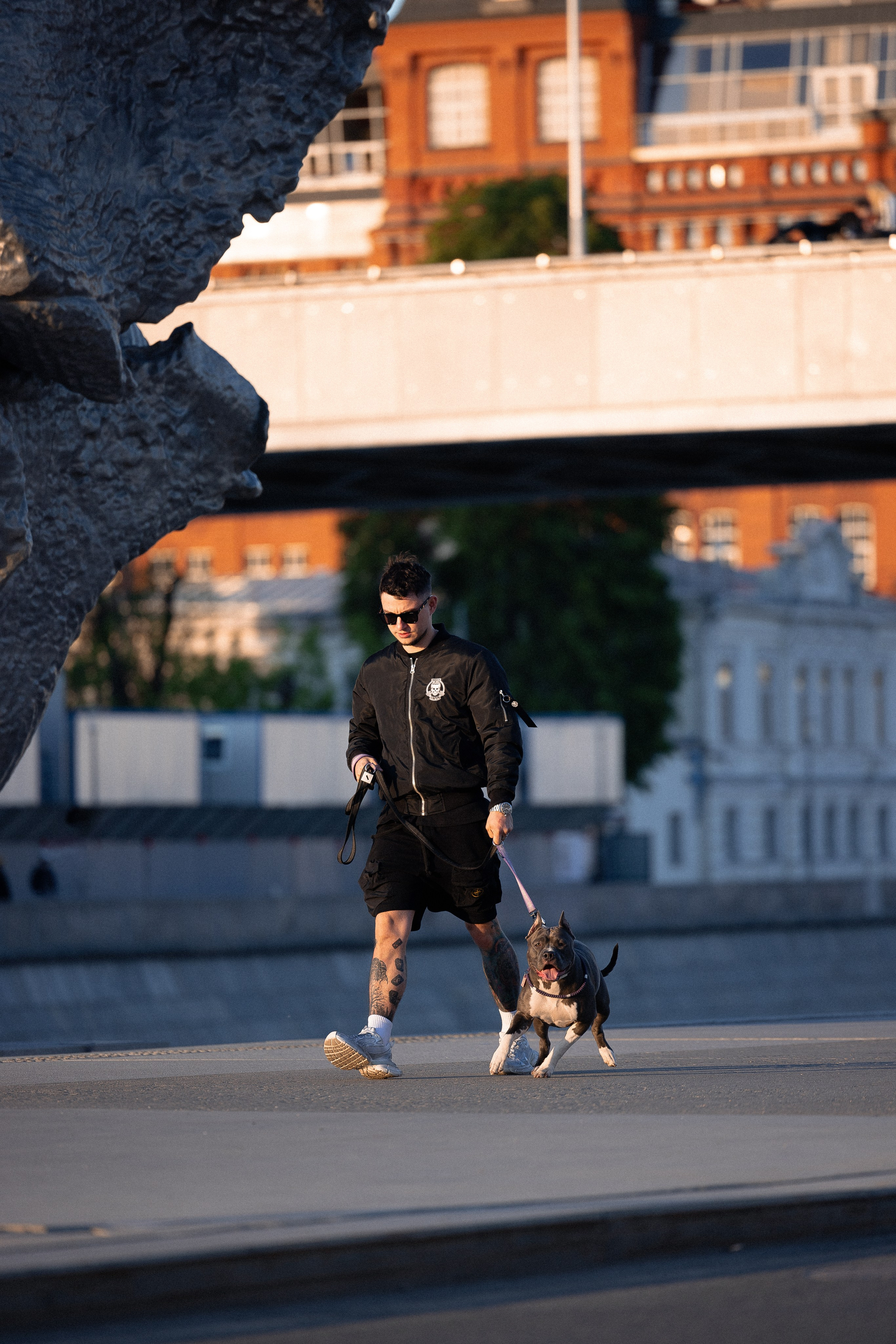 Катя, Леша, Трой и Лея. Фотограф и видеограф анималист Аганина Дарья