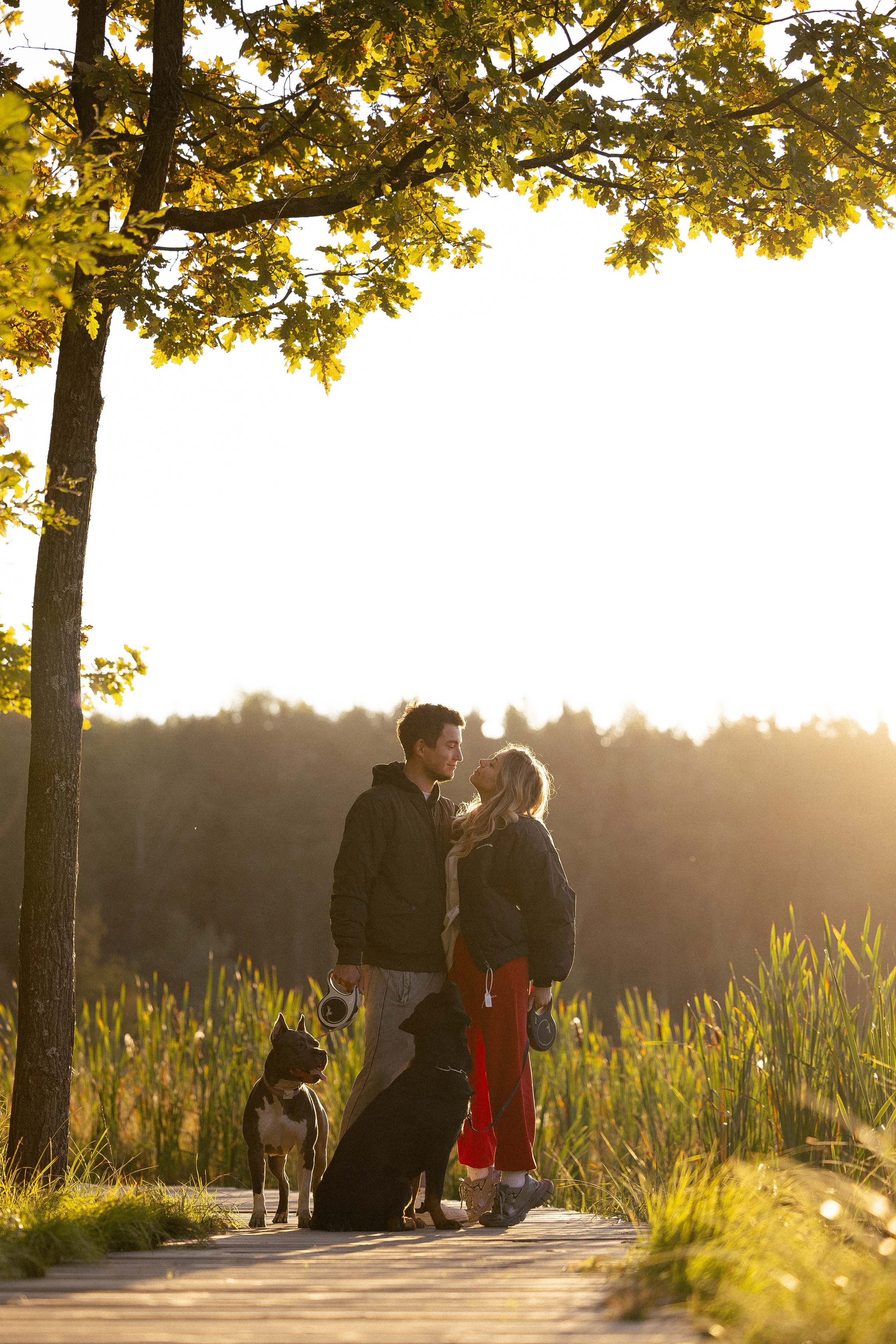 Катя, Леша, Лея и Трой. Фотограф и видеограф анималист Аганина Дарья