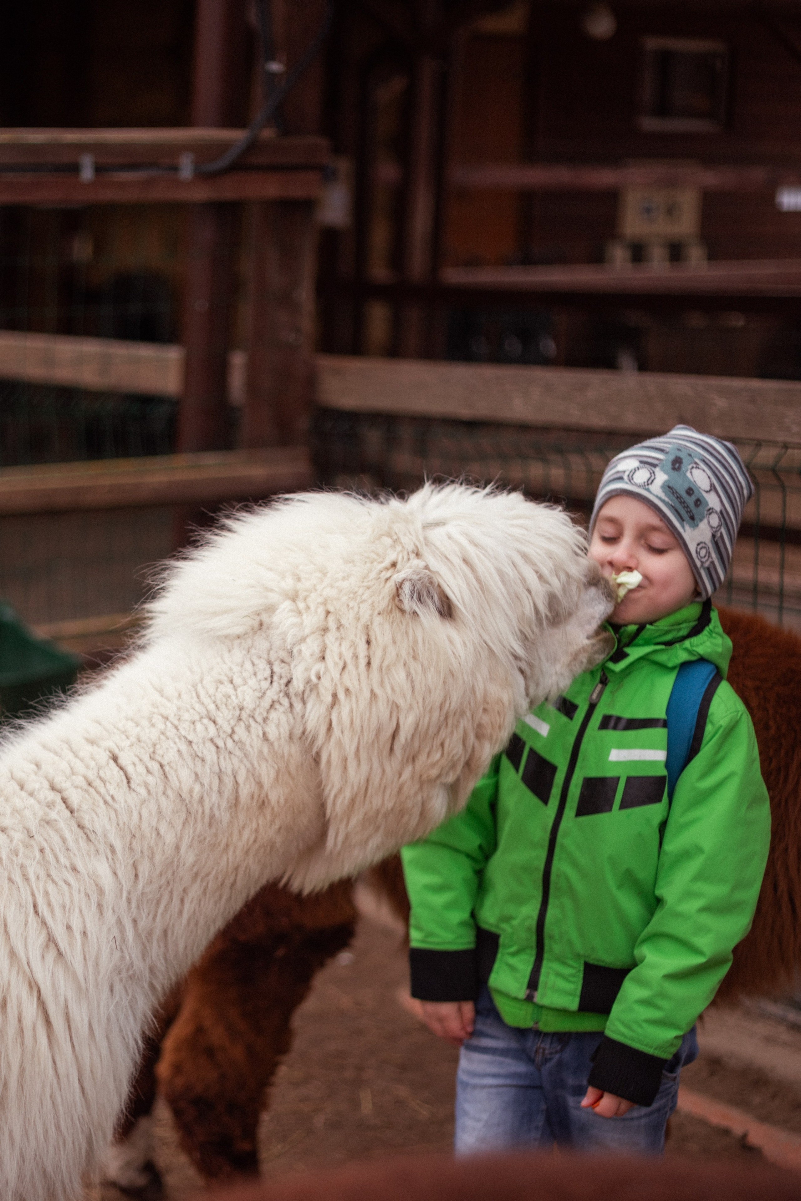 Разное. Фотограф Алина Лебедь