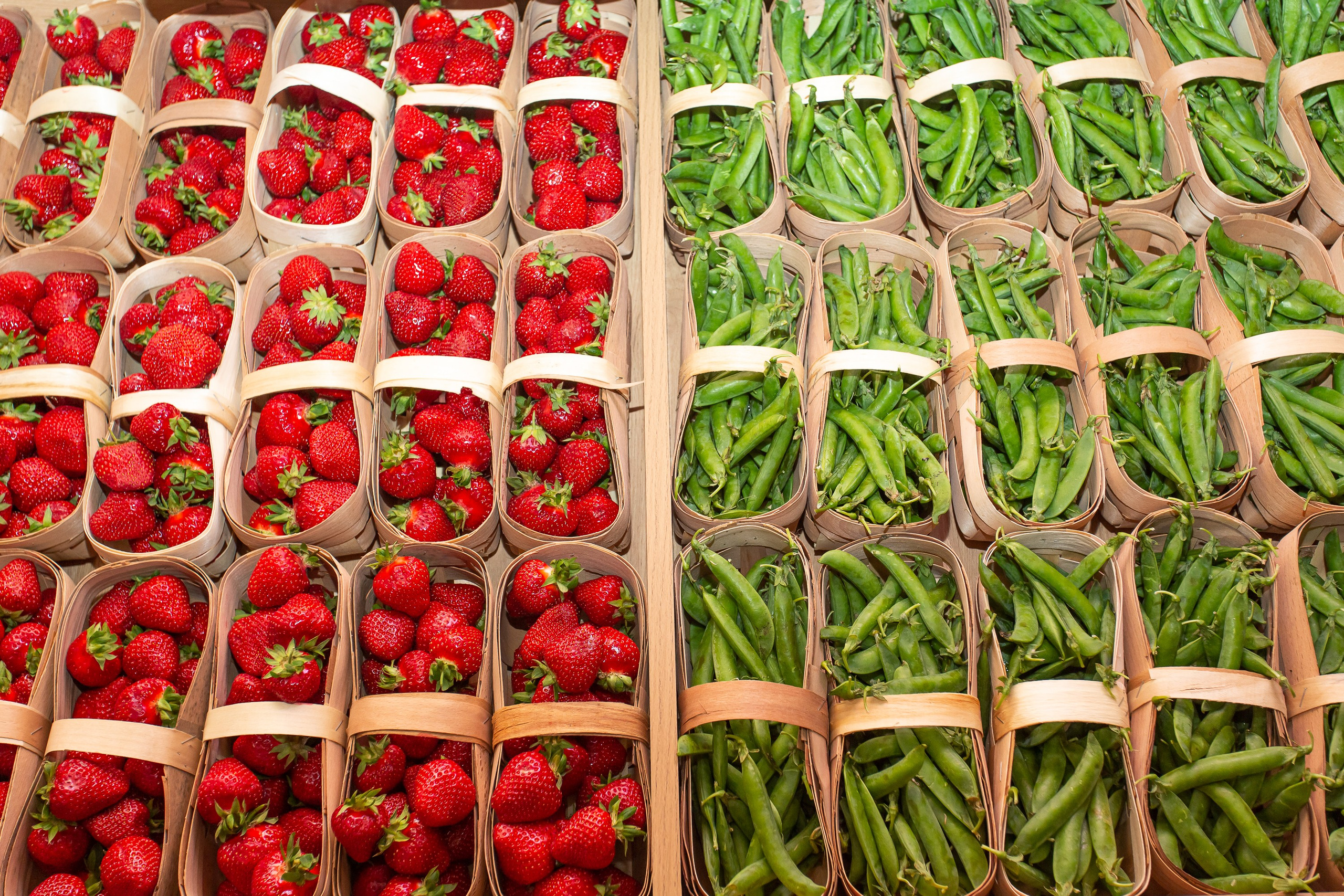 Деловой репортаж. Сергей Гусев — спортивная фотография, виртуальные туры, 3д панорамы