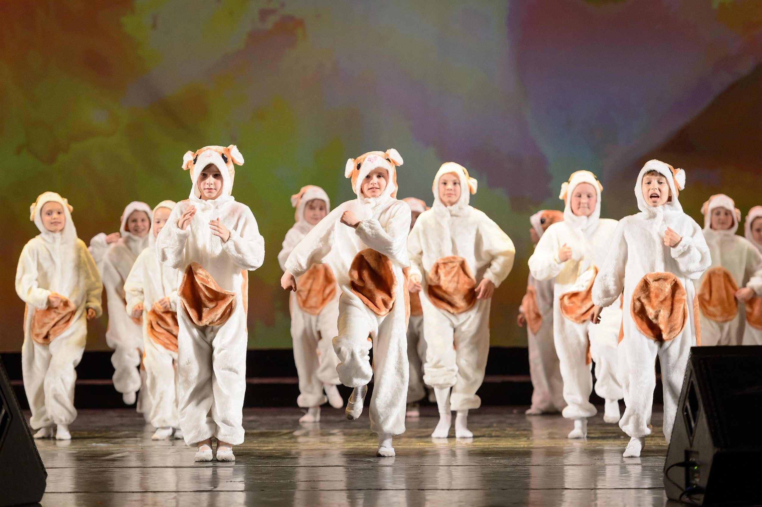 23 мая, концерт 5 лет, БКЗ. Золотое яблочко