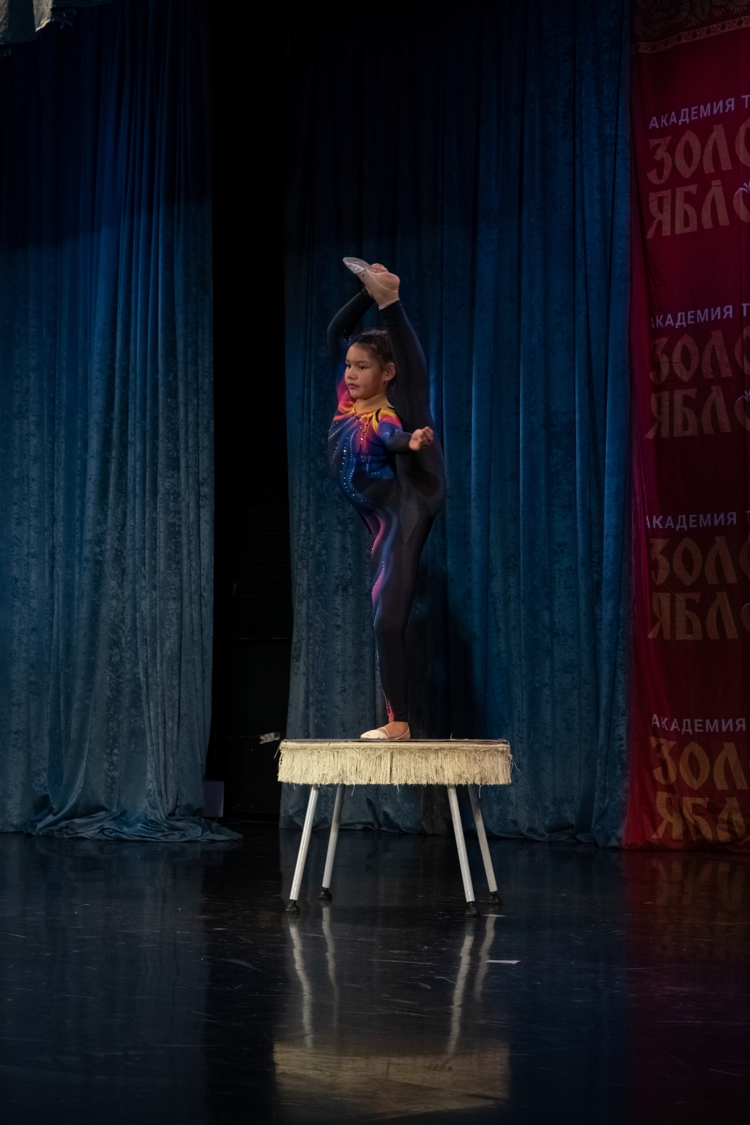 7 декабря, г. Выборг. Золотое яблочко