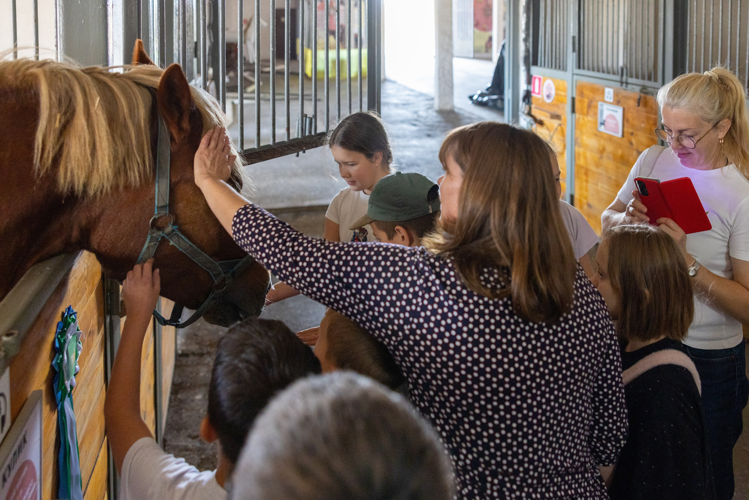 Поездка на поле Кулеково. Фотограф в Туле Крупский АнДРей. Фотостудия «КАДР71» в Туле