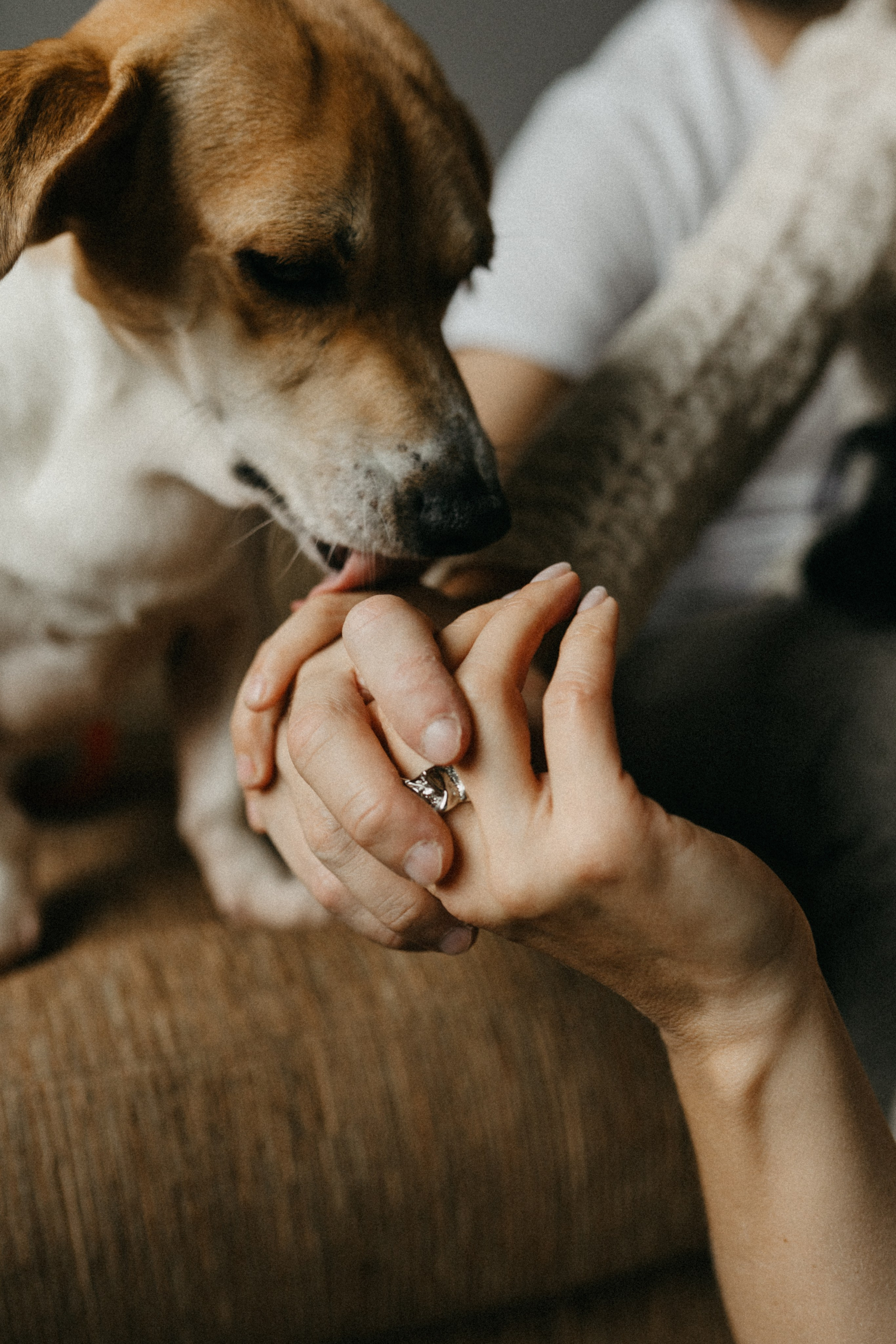Семейная съемка в Ивантеевке, Love story в г. Мытищи. Свадебный фотограф в г. Москва, МО Гороза Алена