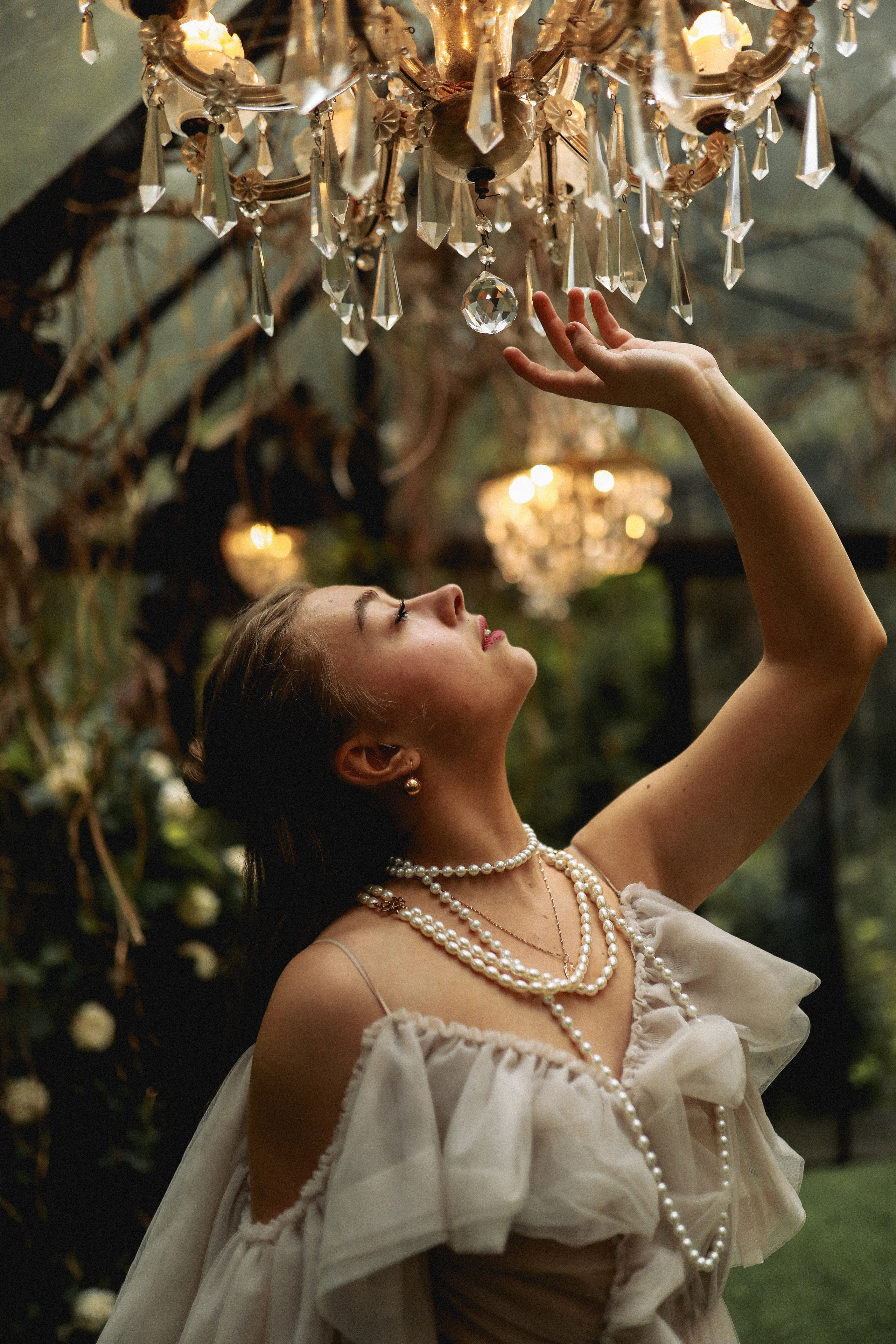 Зачарованный лес