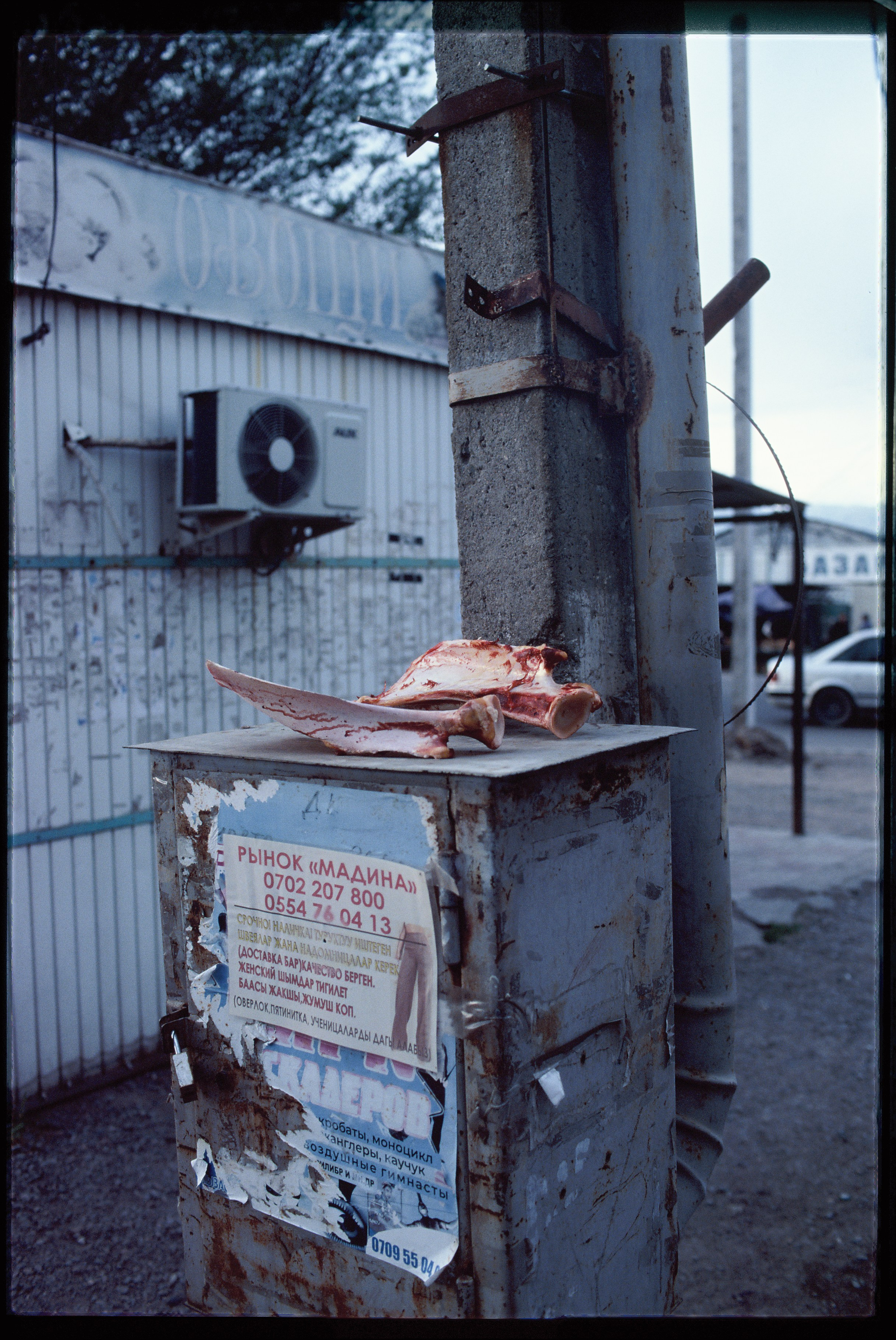 SILK ROAD. Dima Ptitsyn