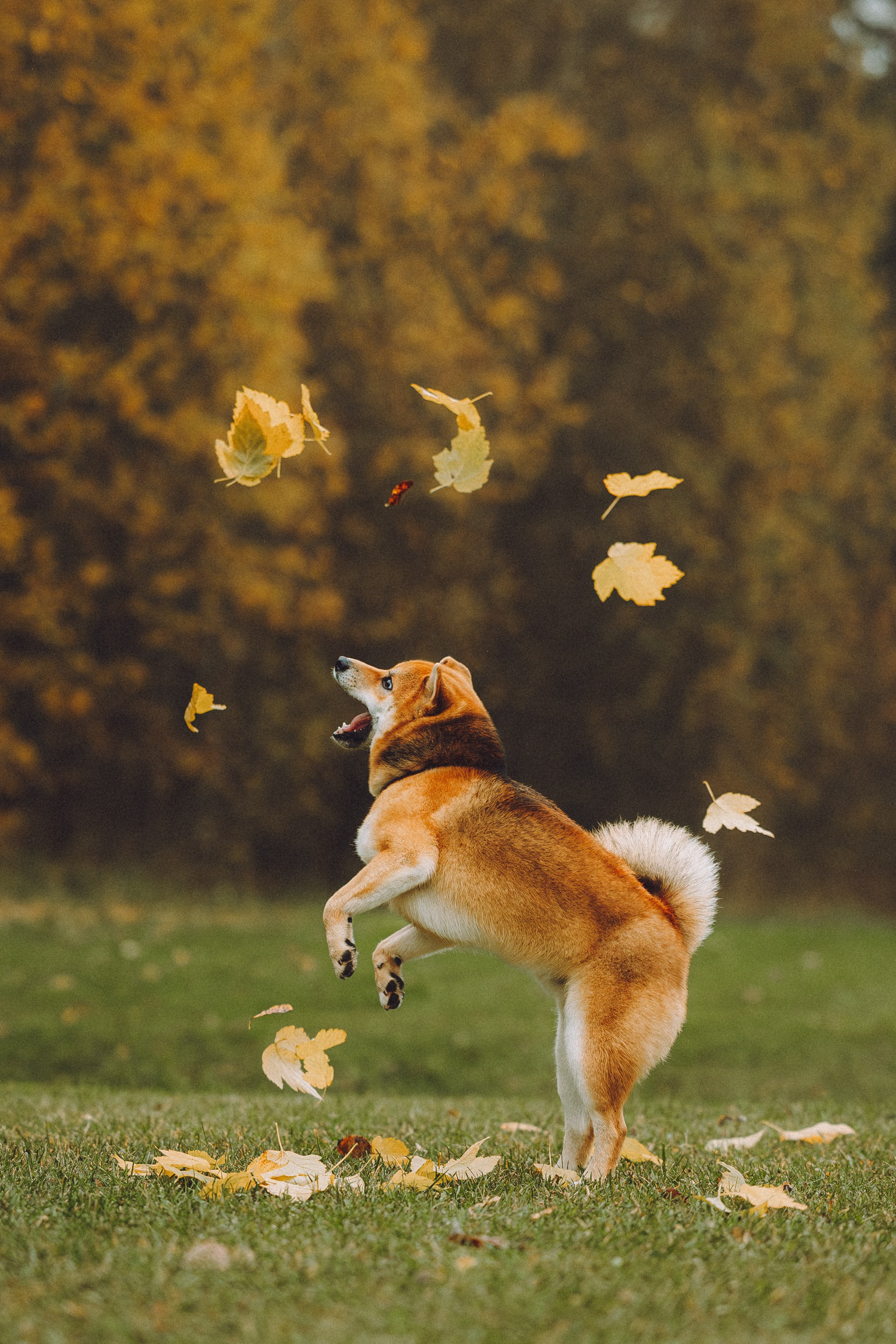 Настя, Юра и Скай