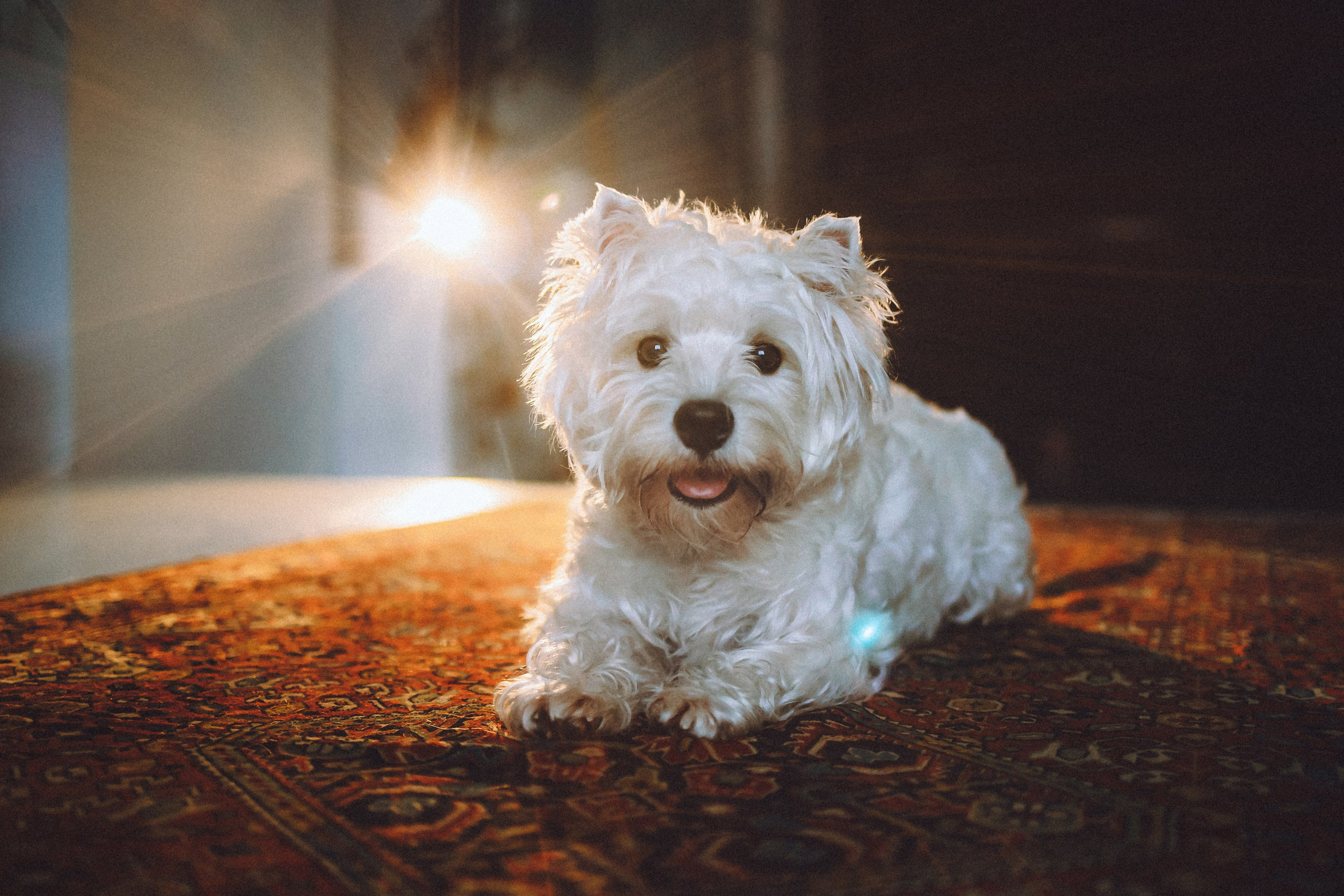 Вика, Глеб и Тори