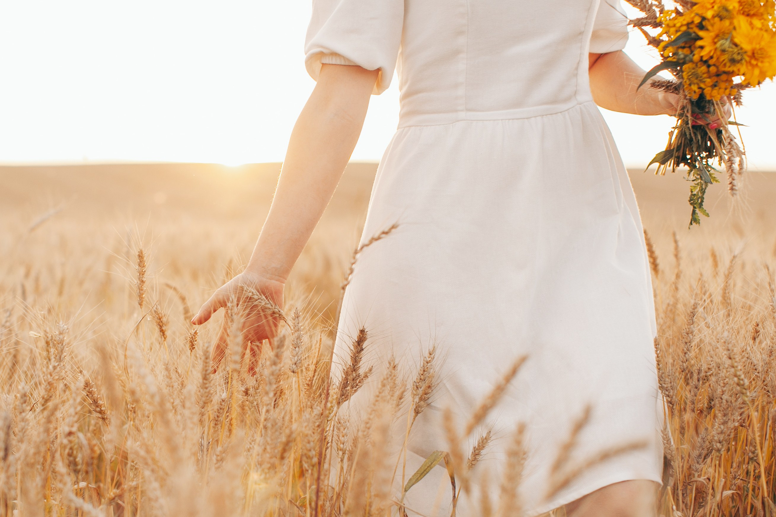 Семейная фотосессия в поле на закате. Фотограф Ольга Ефремова