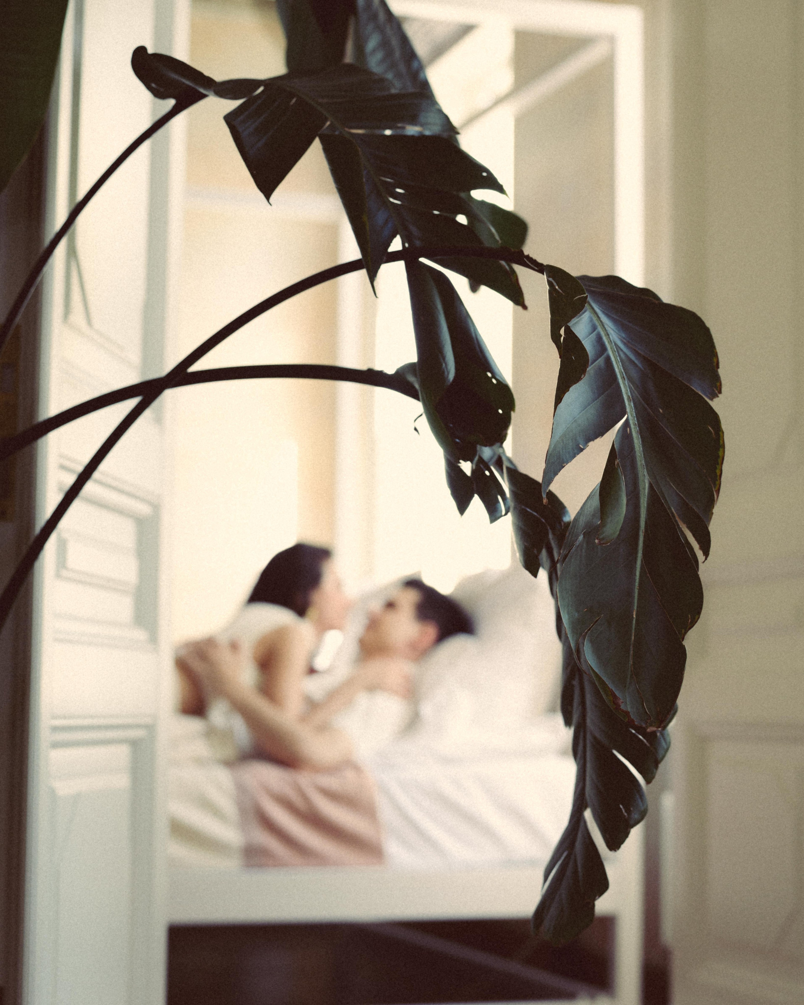 ♥️♠️. Вадим Зименков