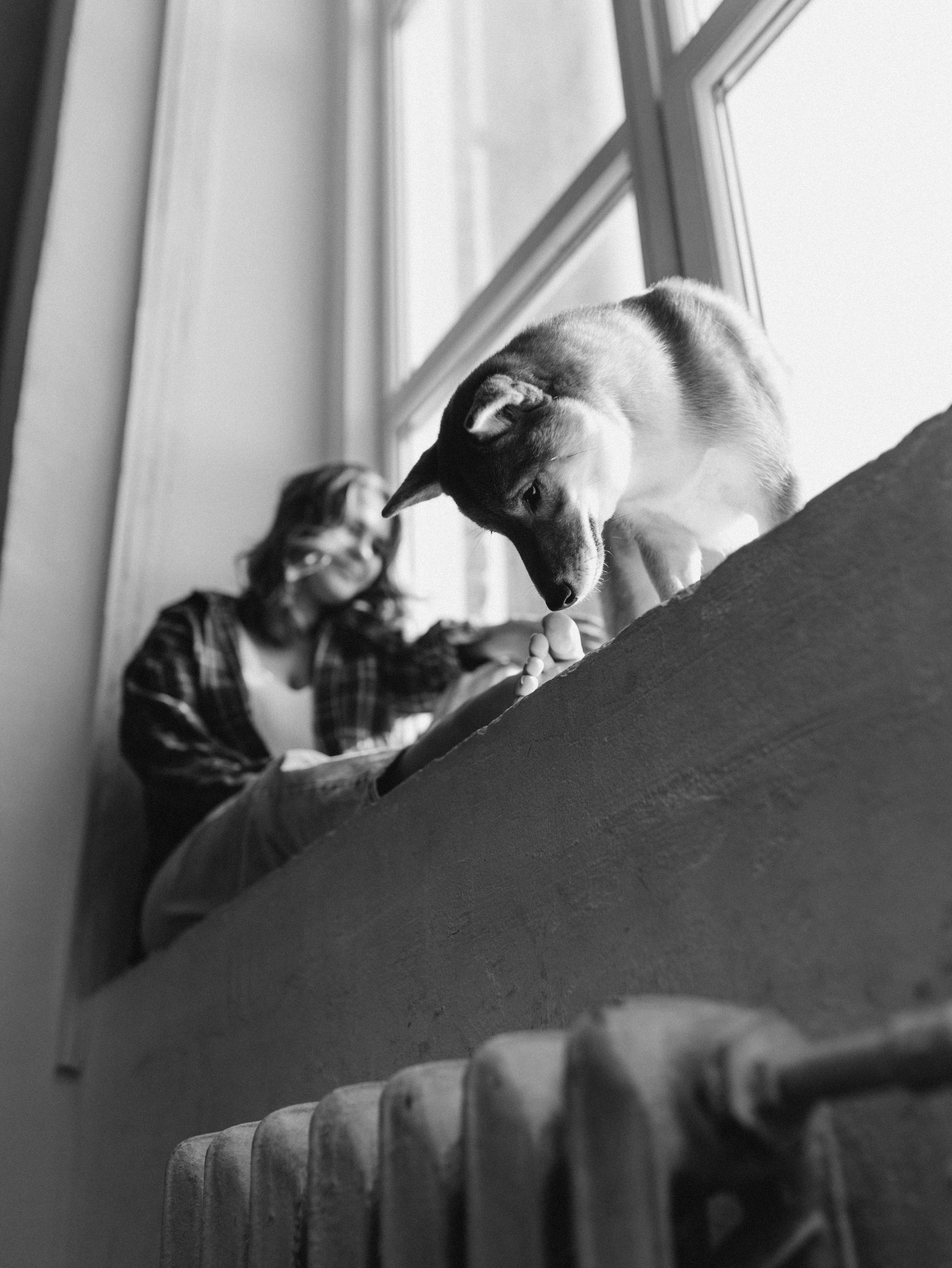 Мика и Настя. Фотограф-анималист в Москве Кириллова Татьяна