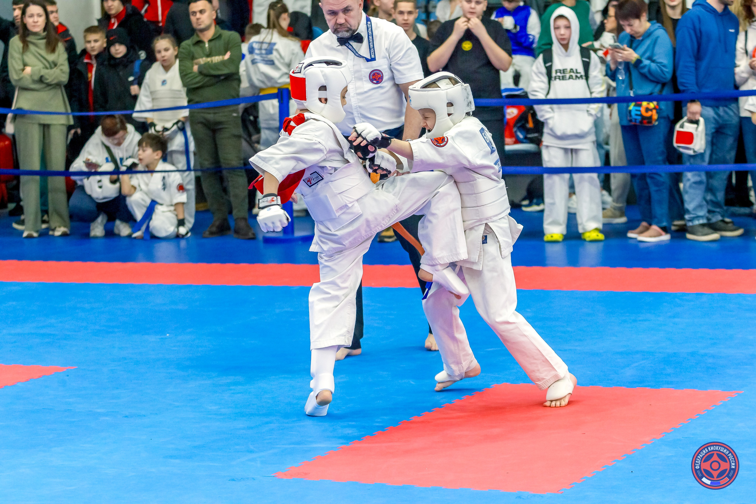 Международный турнир по киокушин «Открытый кубок Seiken». Репортажная съемка в Москве и области. Анималистика