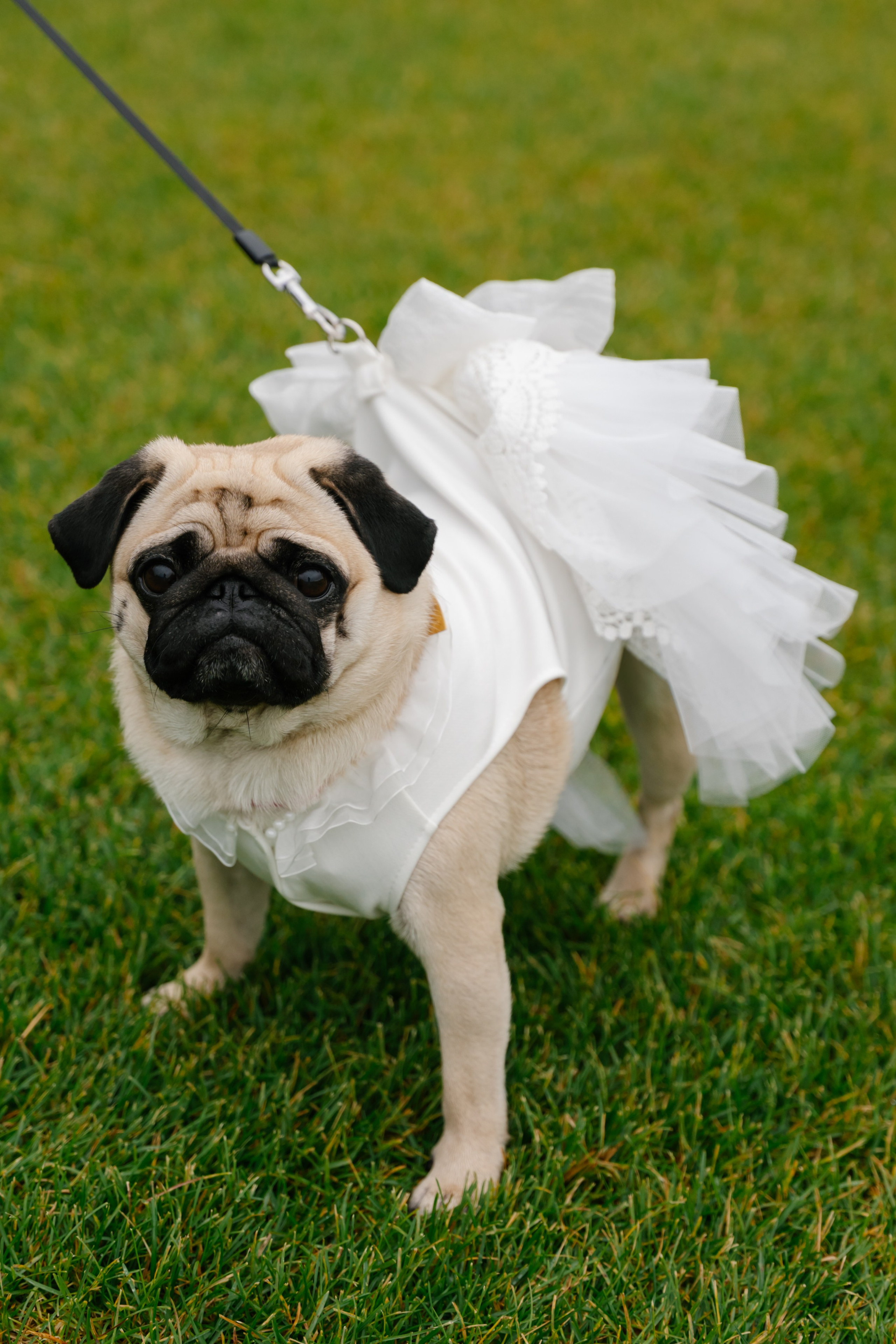 Мария и Евгений. Ульяна Ремезова | Фотограф | Челябинск