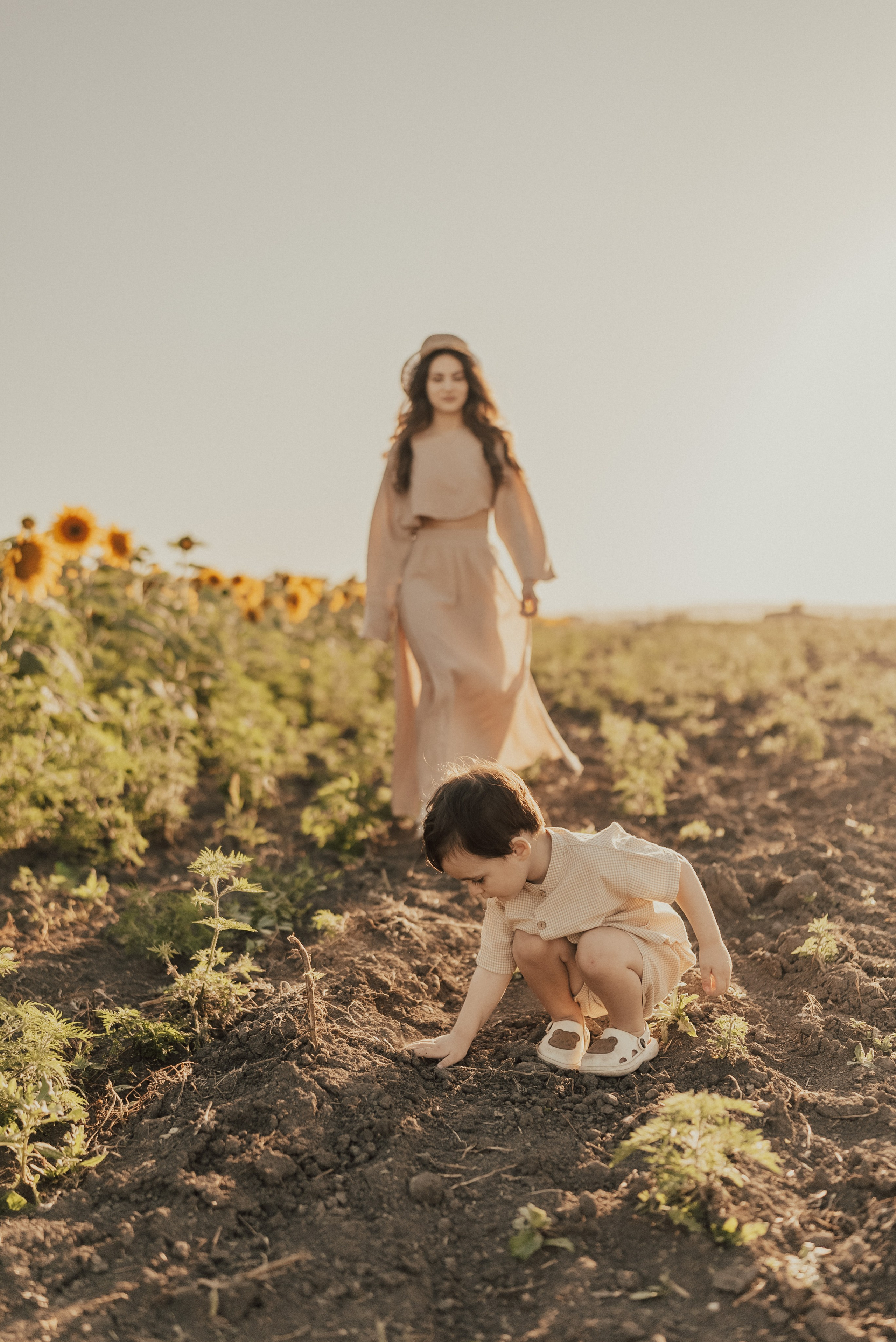 Лето. Подсолнухи. Семейный фотограф и видеограф Алёна Ким