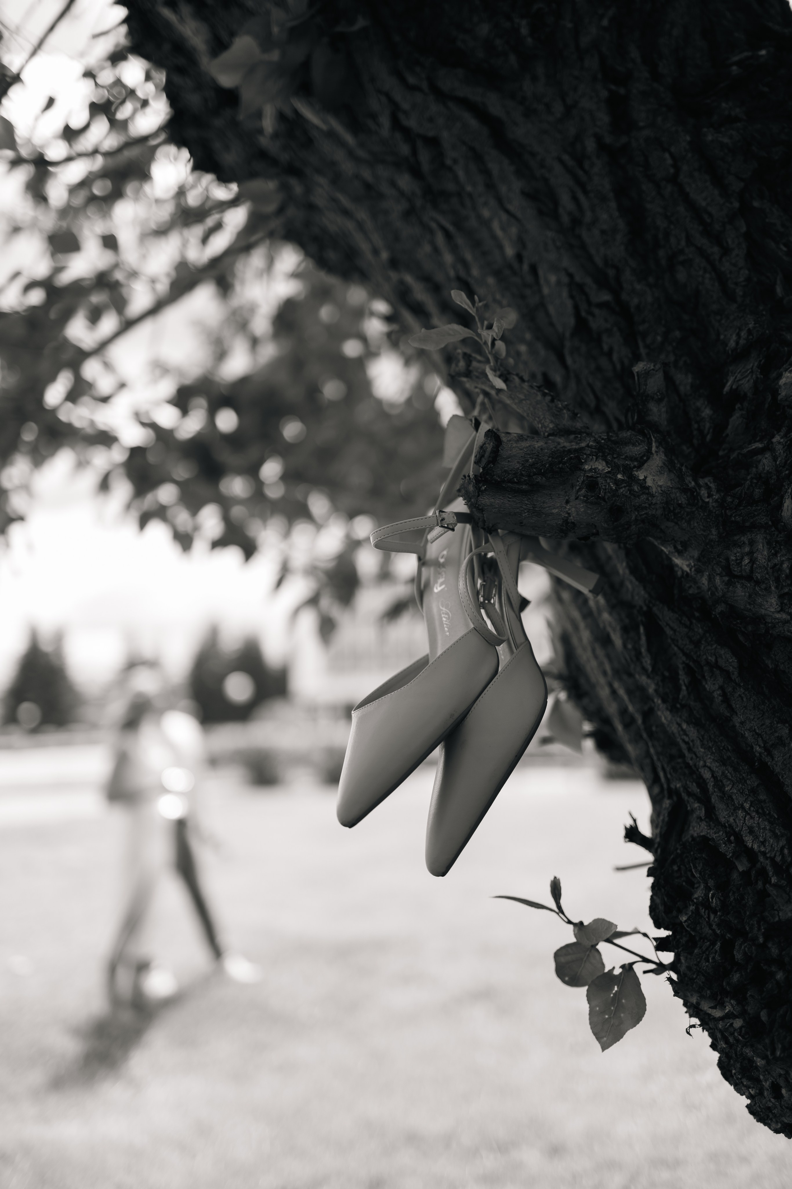 Анна и Александр. Екатерина Пашкова, фотограф, видеограф в Томске