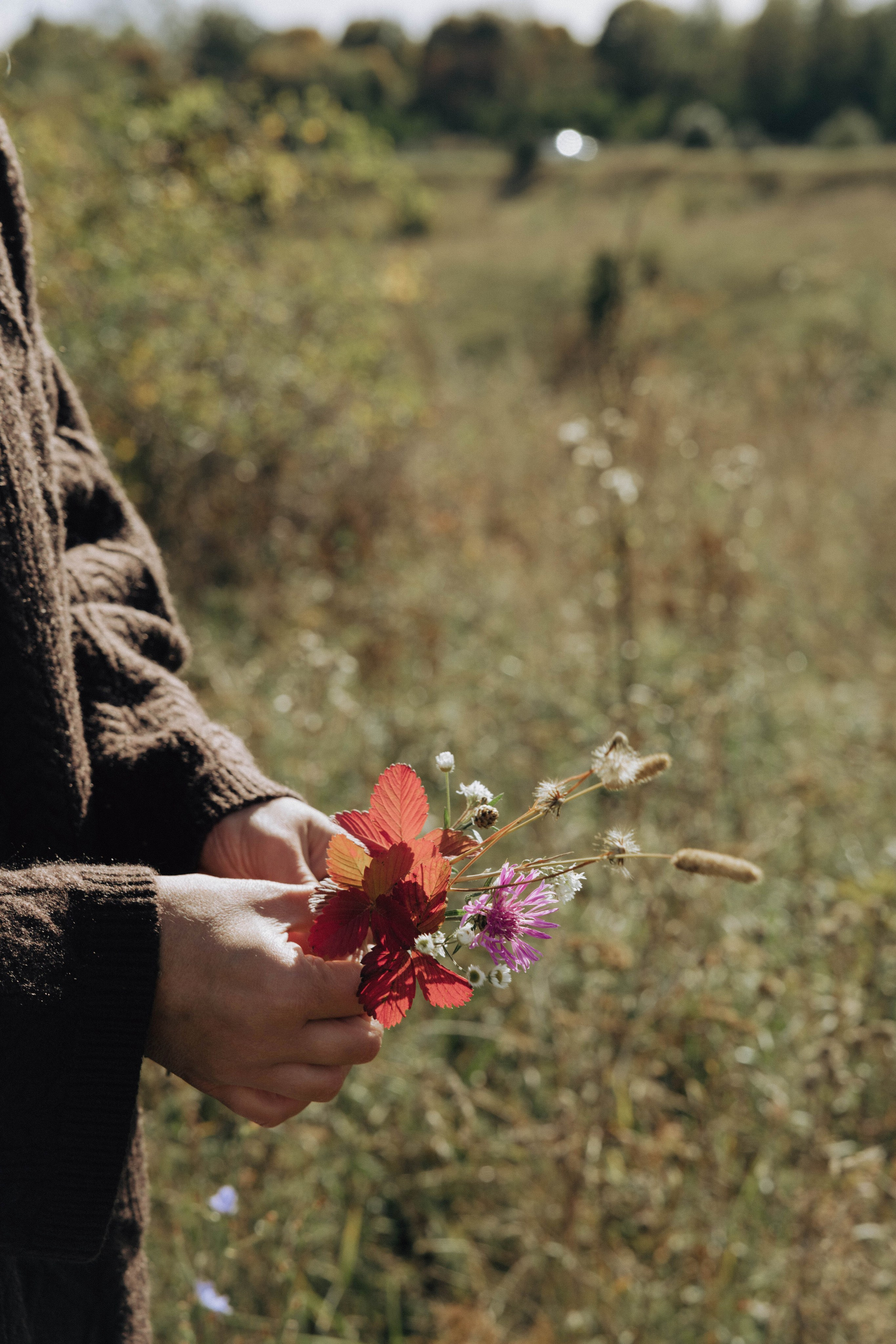 Индивидуальные съемки. Екатерина Серых — фотограф в Курске | Индивидуальные, семейные и love story съёмки