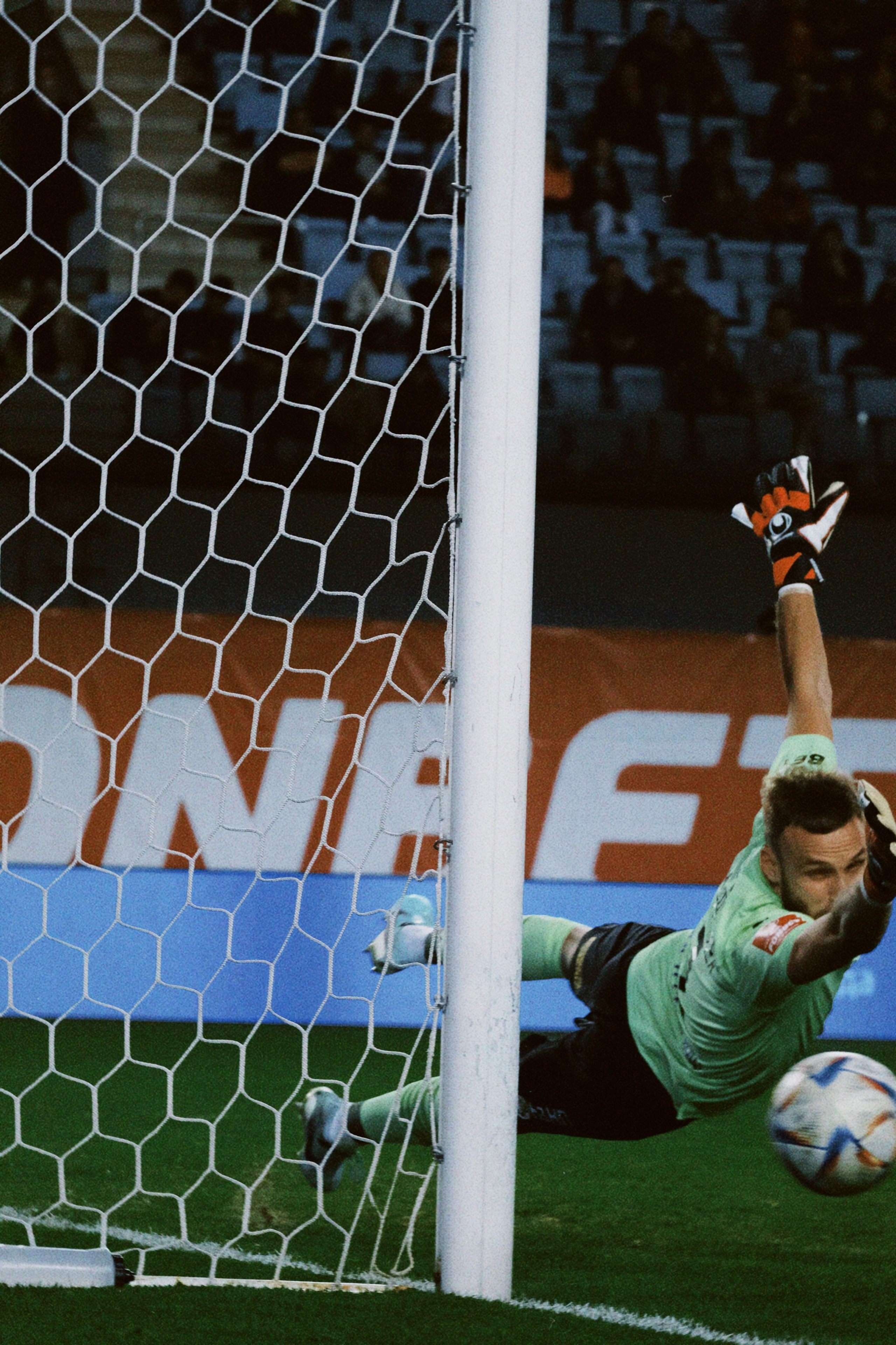 Рпл 23/24. Татьян гертье