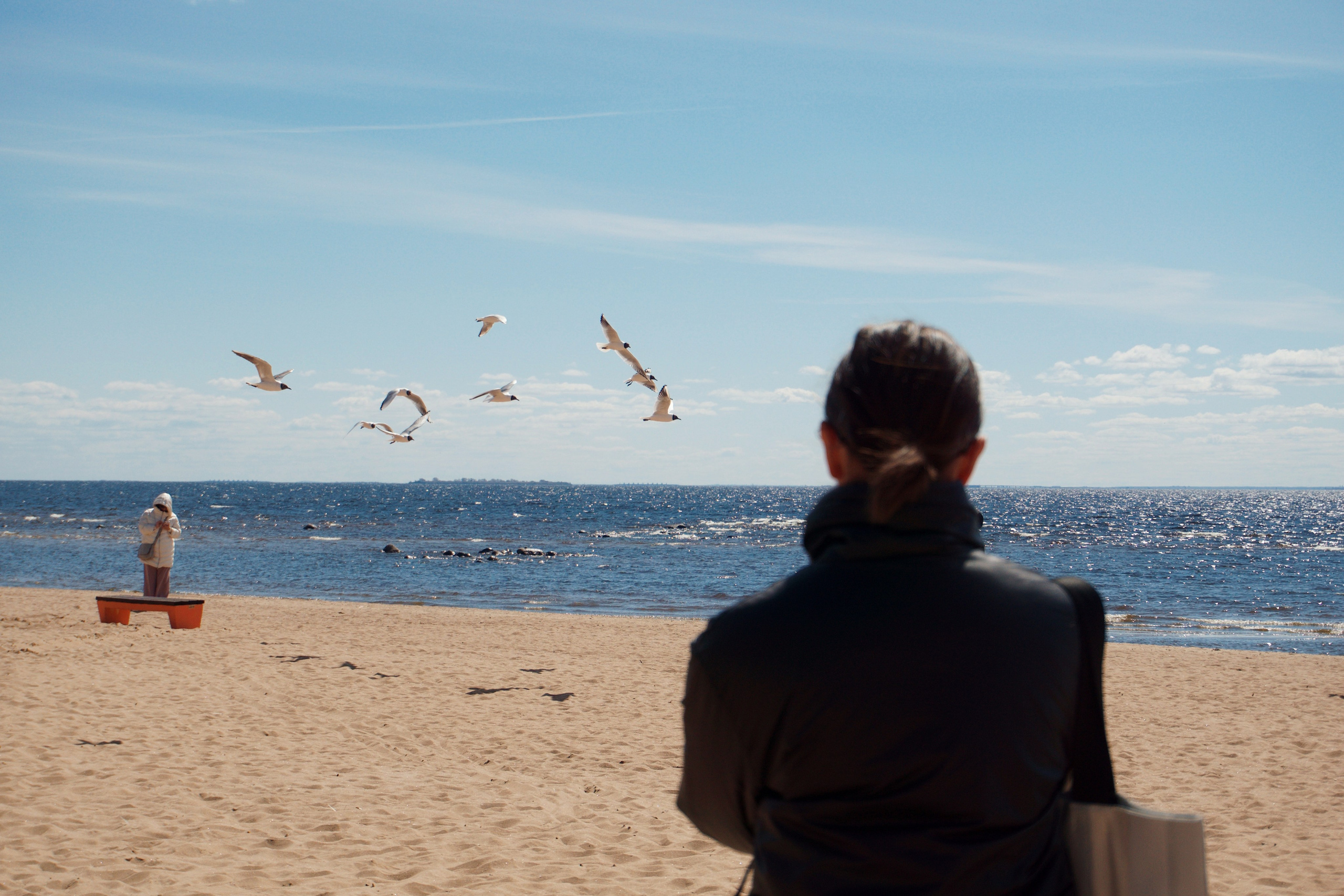 Петербург. Татьян гертье