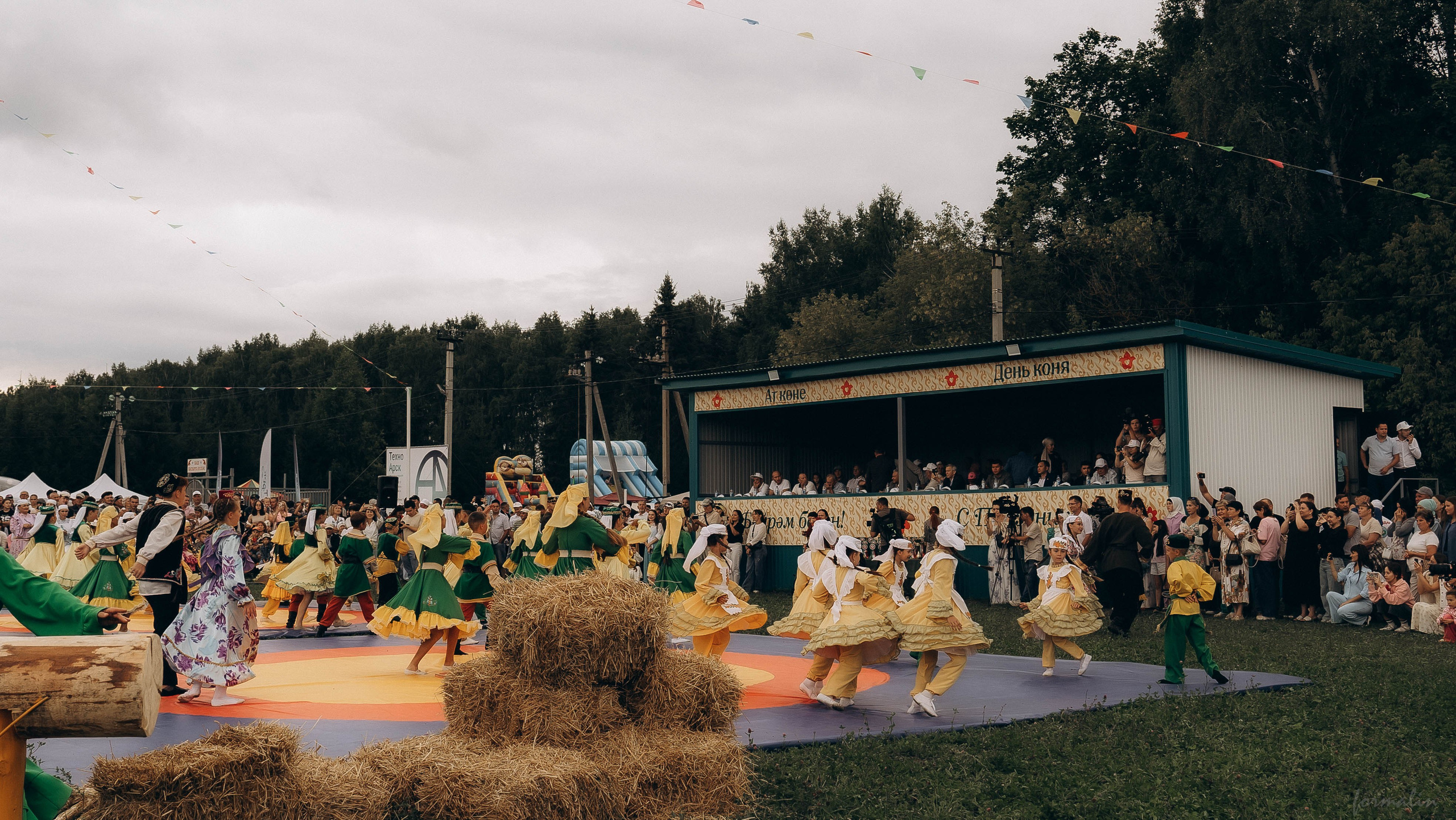 День Коня. Алиса Никитцова | Фотограф в Казани