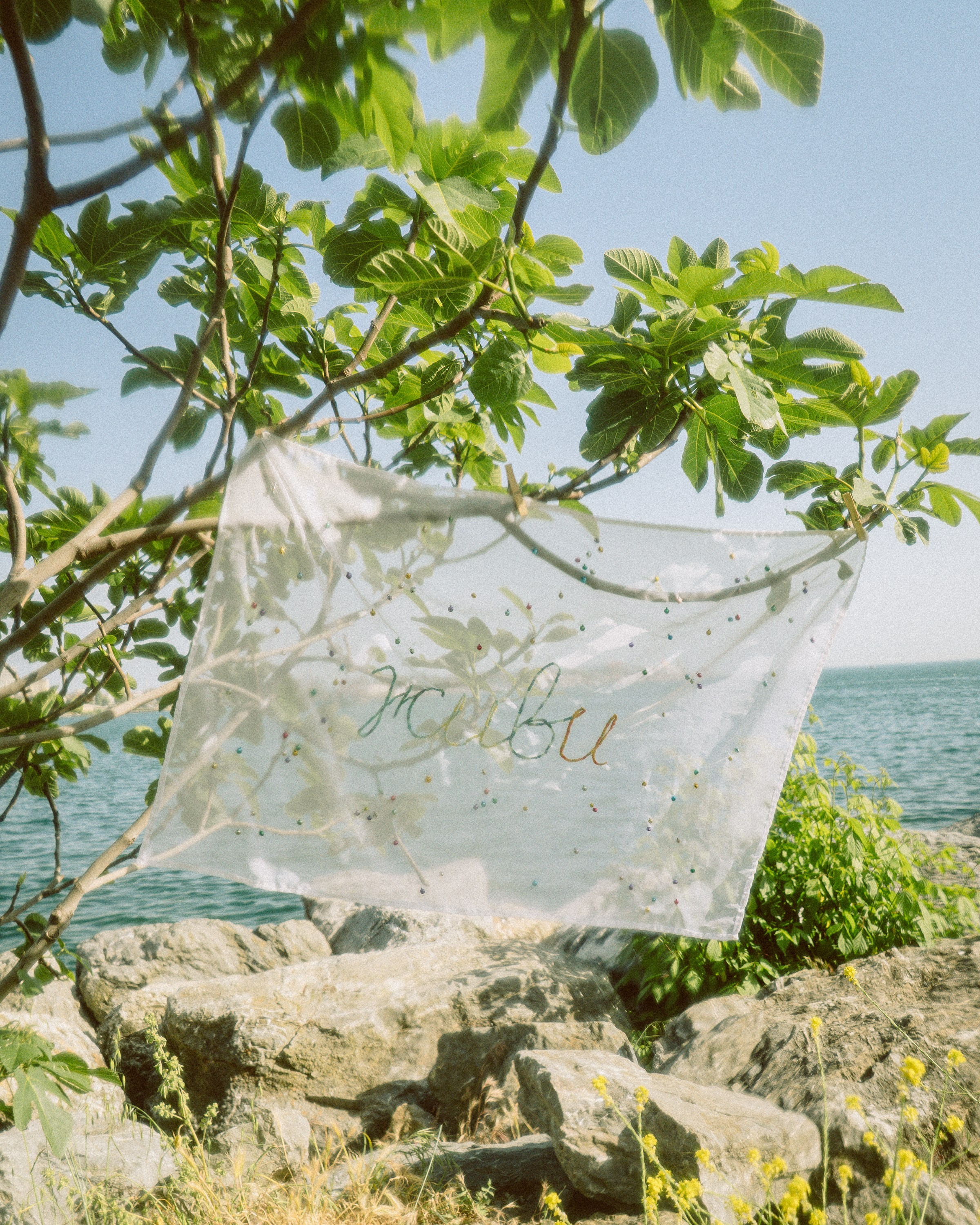 Live. Eliza Ari | visual artist