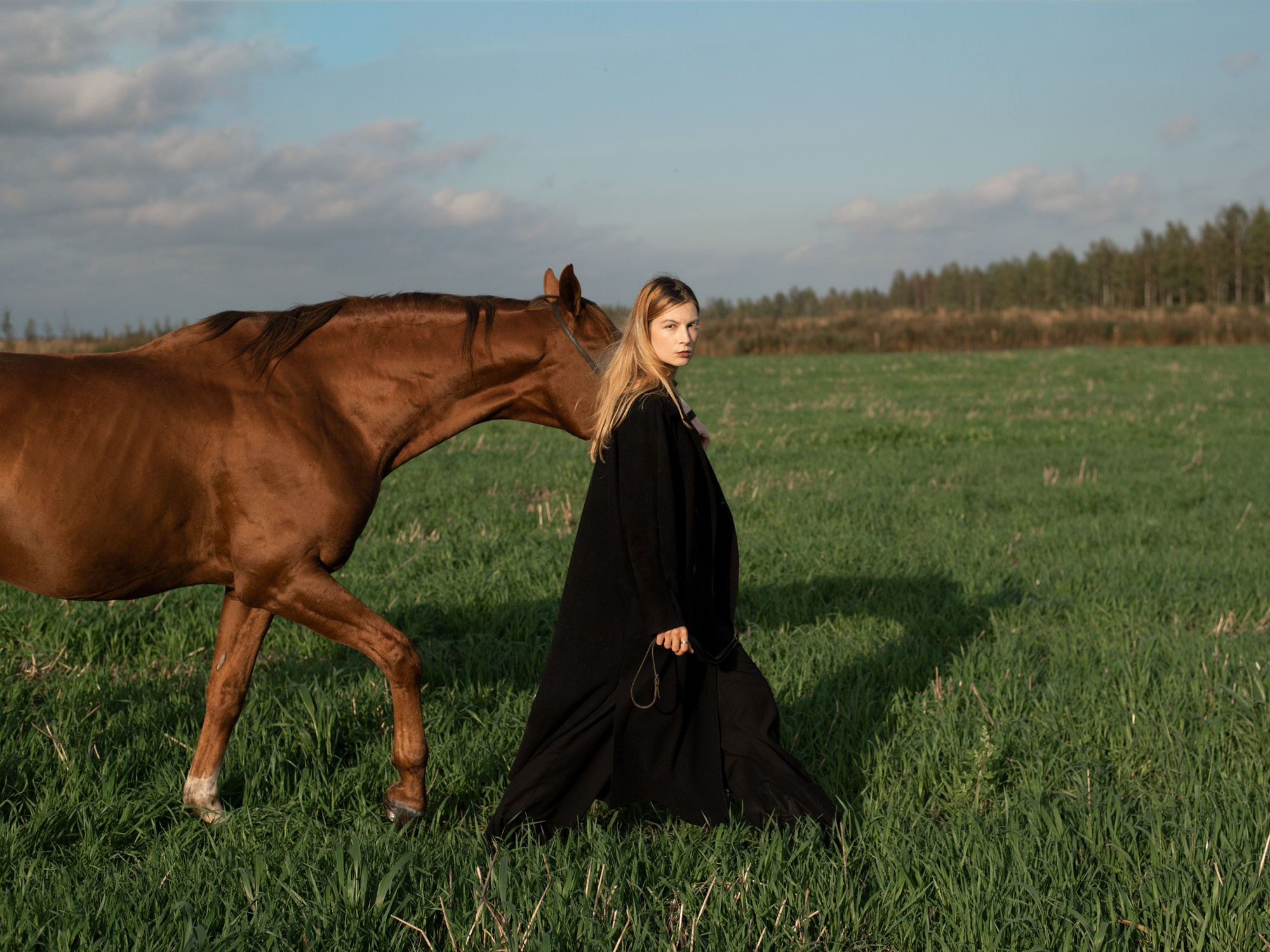 Портрет, лошадь, фото с лошадью, фото лошади, фотография лошади, съемка лошадей, фотограф лошадей, конная фотография, конный фотограф, конный фотограф в спб, съемки с лошадьми, фотограф спб, фотосессия с лошадьми,  лето, летняя фотосессия,  фото с лошадью,  фотосессии с лошадьми спб, фотосессия в поле, сфотографироваться с лошадью, сфотографироваться с лошадкой, женская фотосессия, девушка с лошадью, женский портрет, женский фотограф