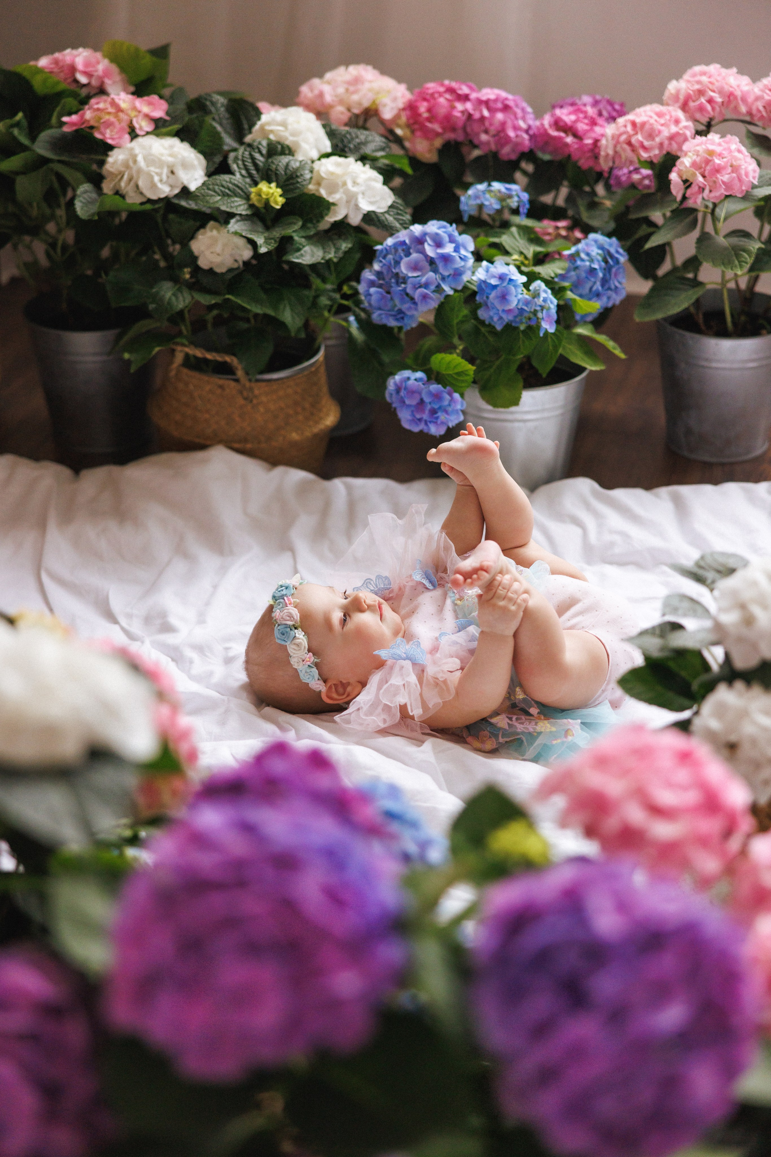 Фотосессия с живыми цветами Гортензии, город Краснодар, фотостудия «Истории». Семейный и детский фотограф в Краснодаре Анна Трашкова