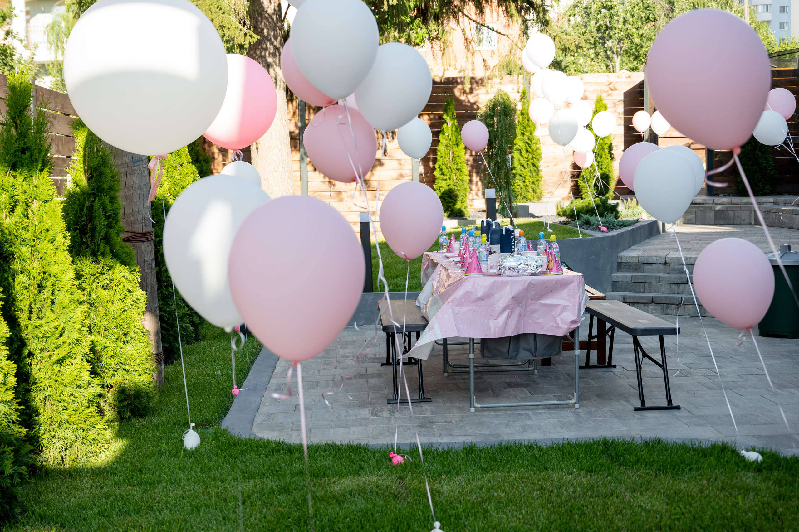 Детские ДР. Кулинарные МК. Выступления. Универсальный фотограф Анна Максимова