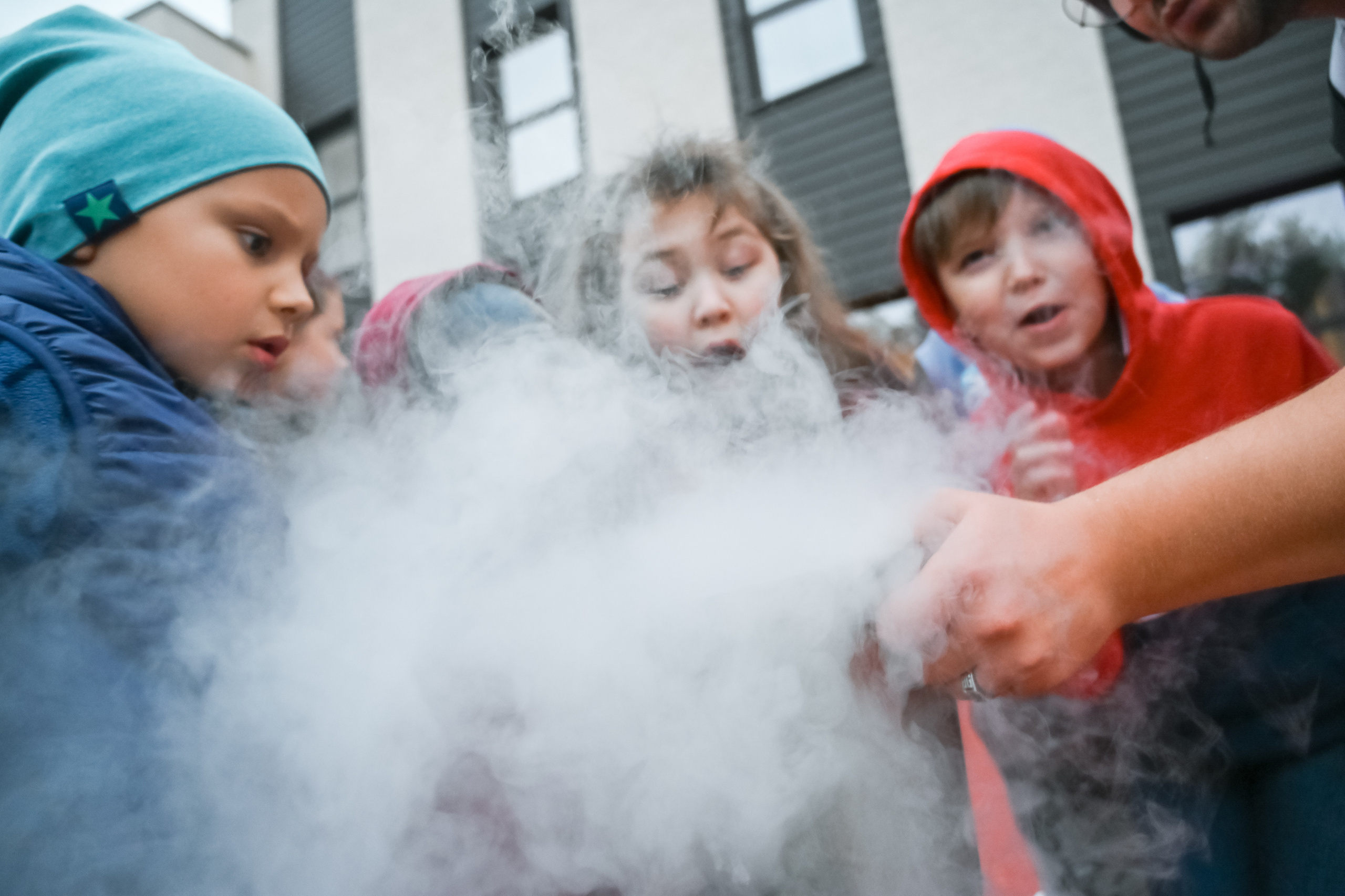 Детские ДР. Кулинарные МК. Выступления. Универсальный фотограф Анна Максимова