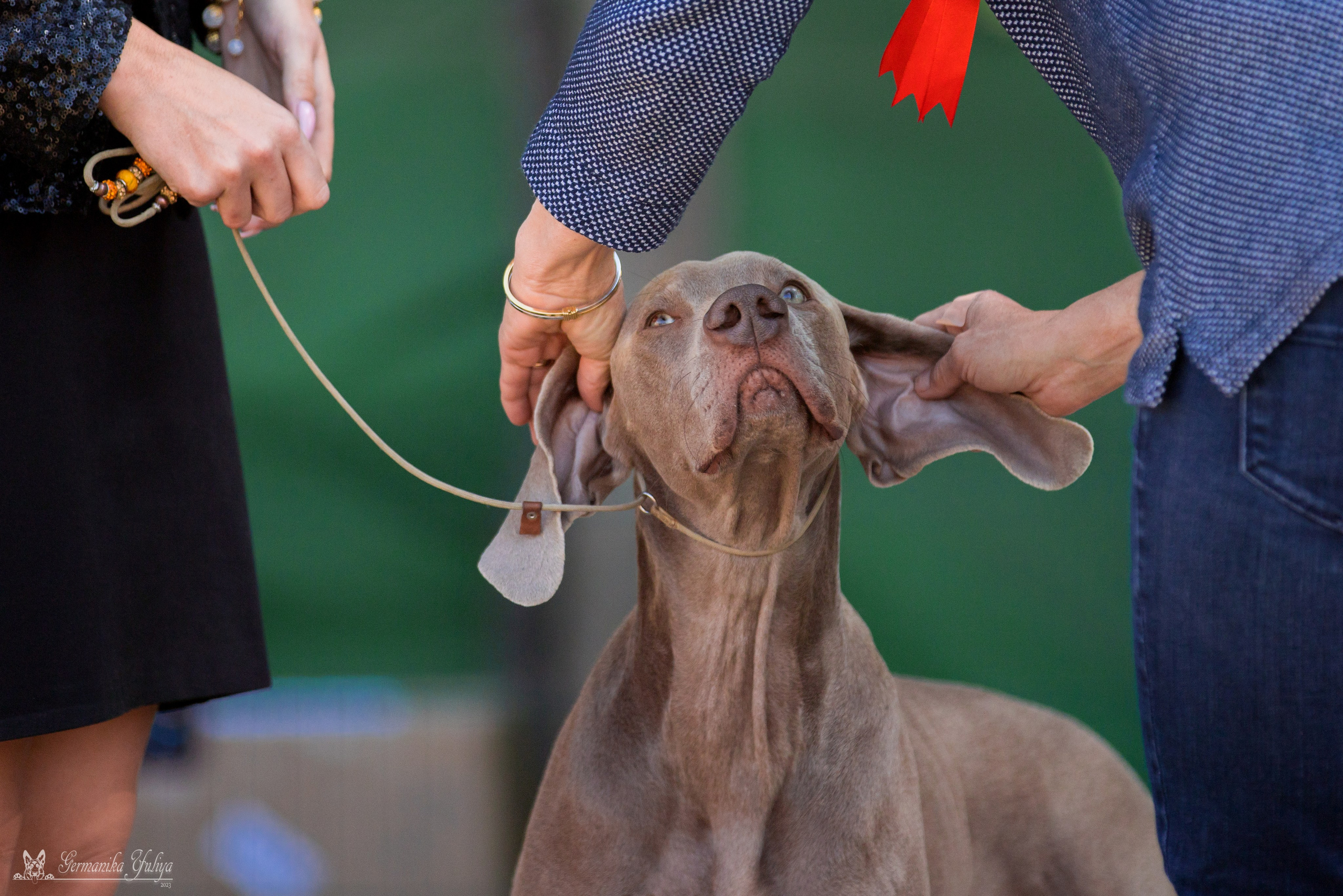 Бишкек 29.09-01.10.2023. Фотограф-анималист Юлия Германика