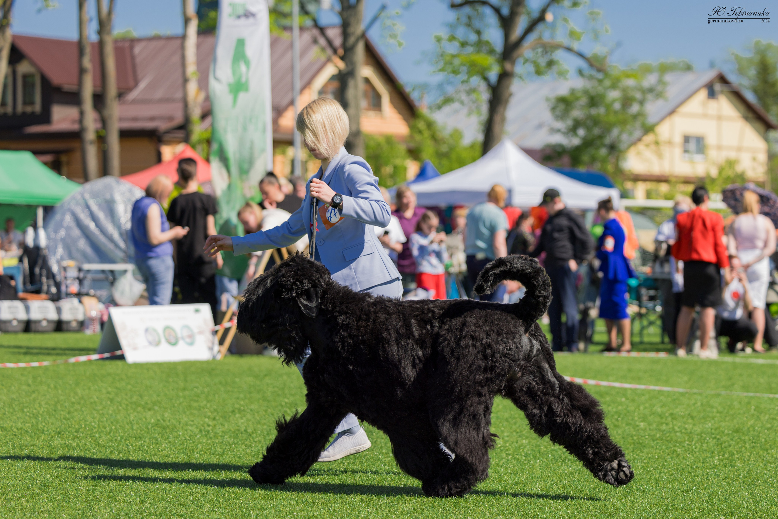 Суздаль 18-19.05.2024. Фотограф-анималист Юлия Германика