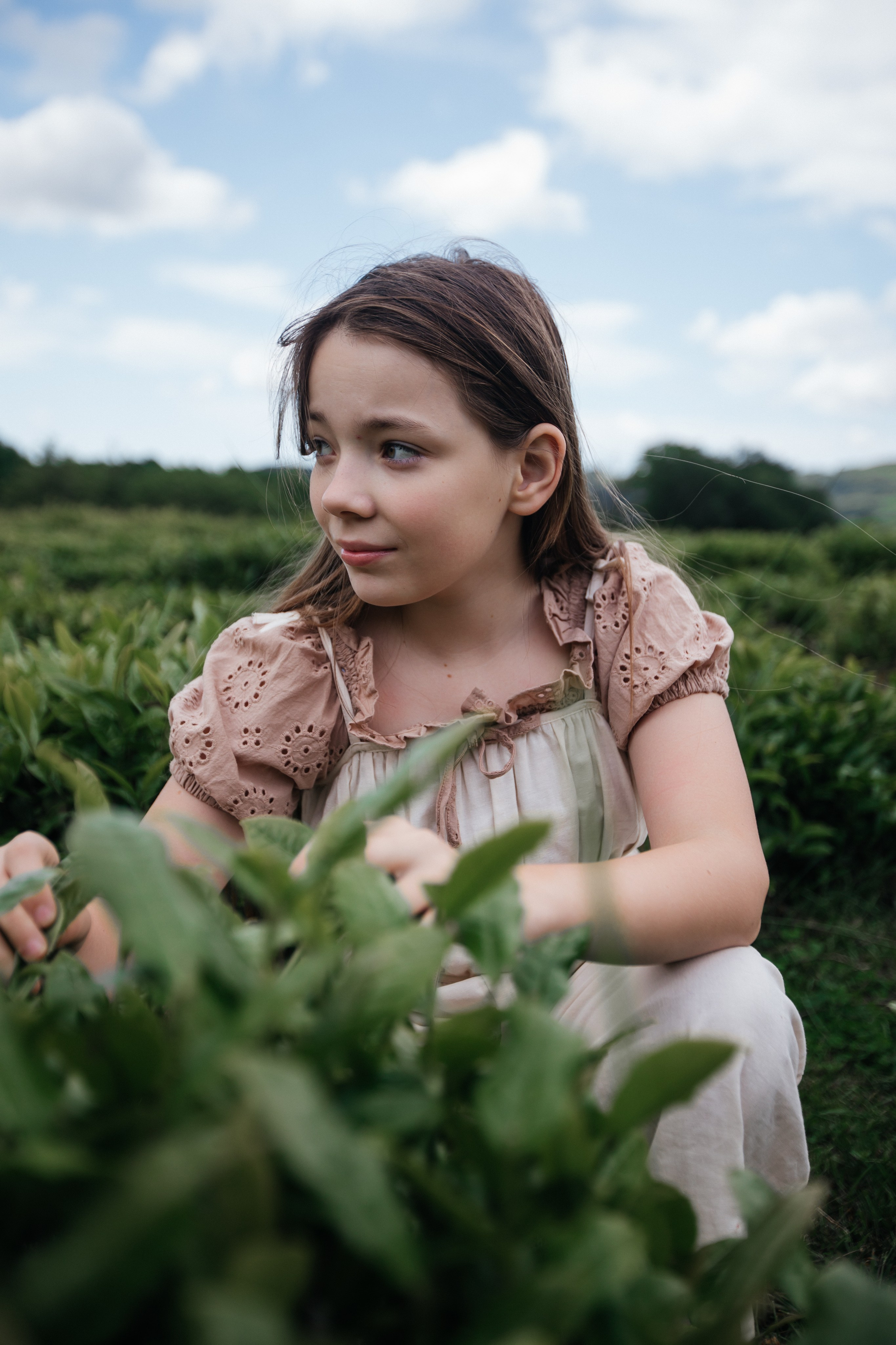 Tea plantation. Efimova Model Agency