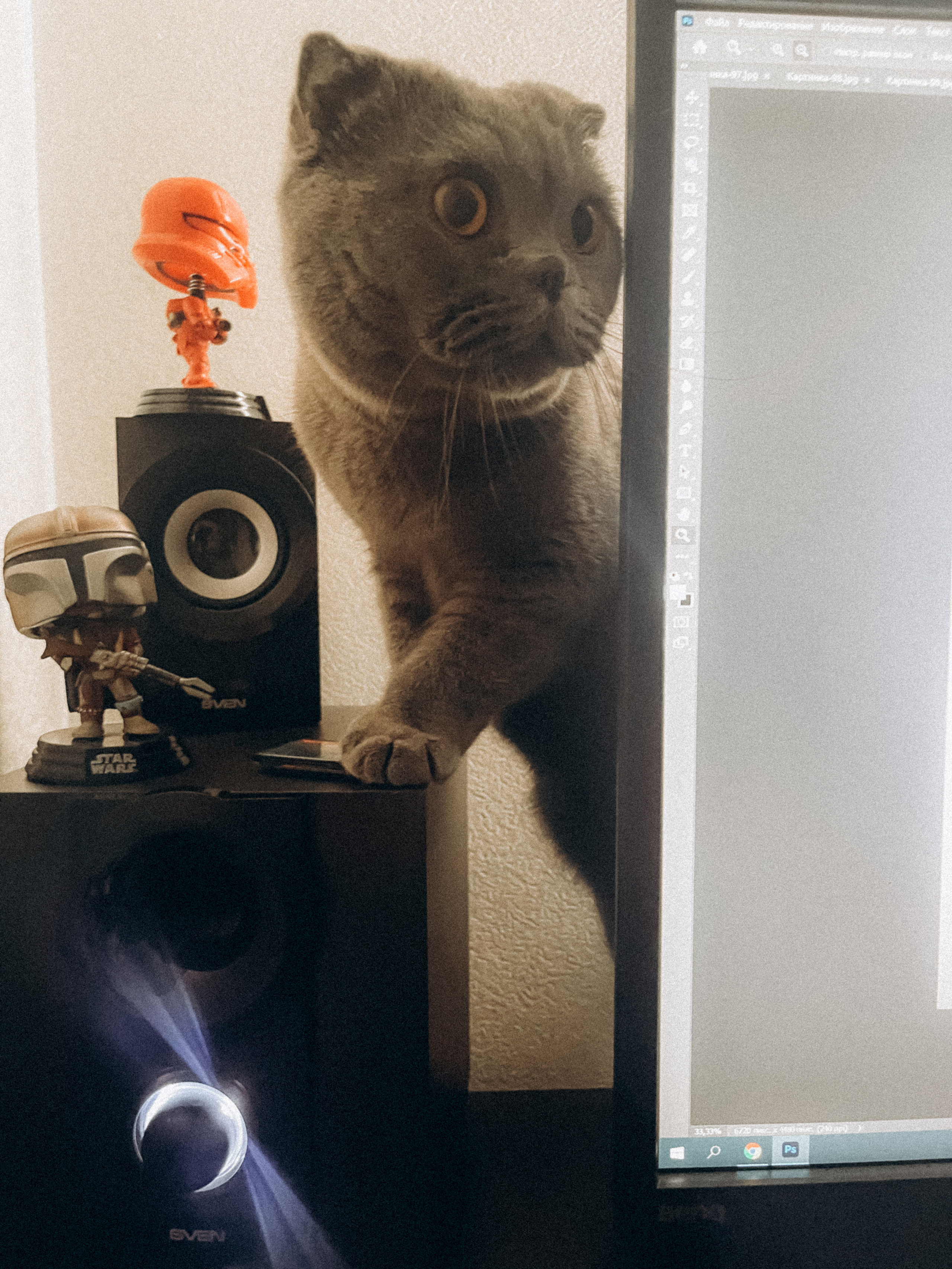 Наши котики. Никита Погосов