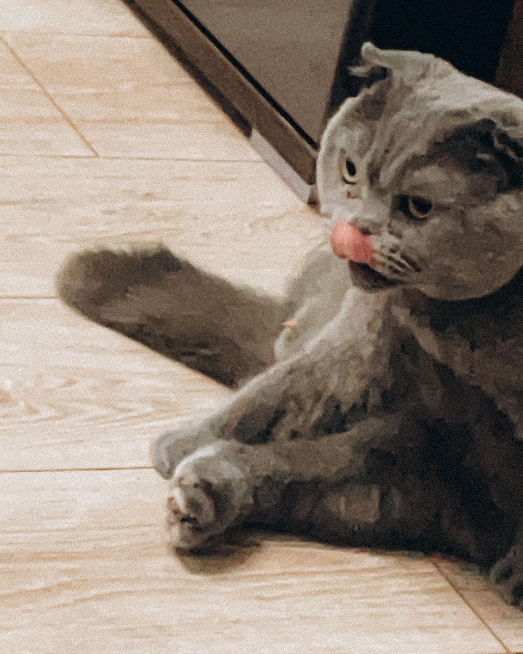 Наши котики. Никита Погосов