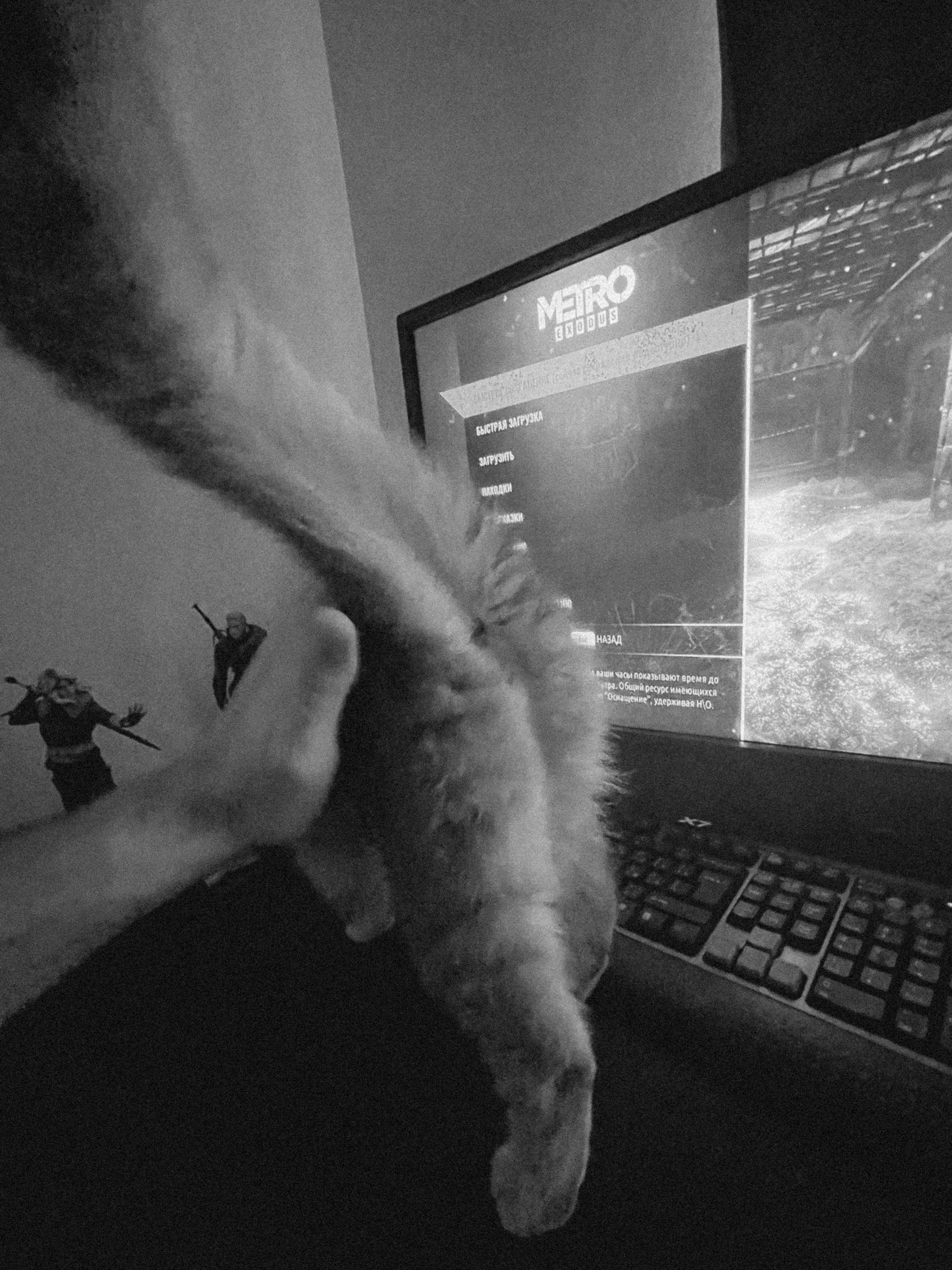 Наши котики. Никита Погосов