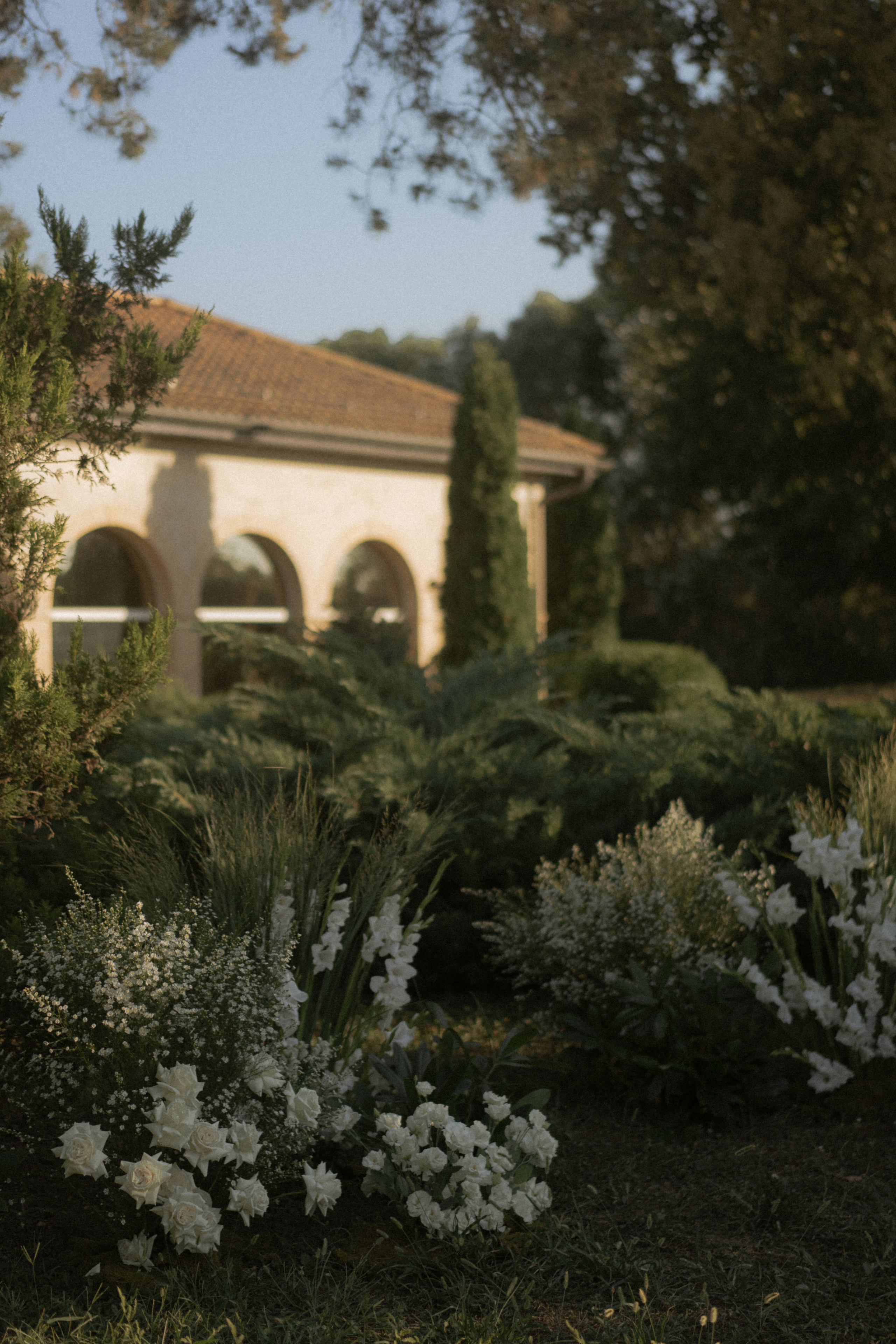 Жил-был Пеп. Краснодар. 2023. Никита Погосов